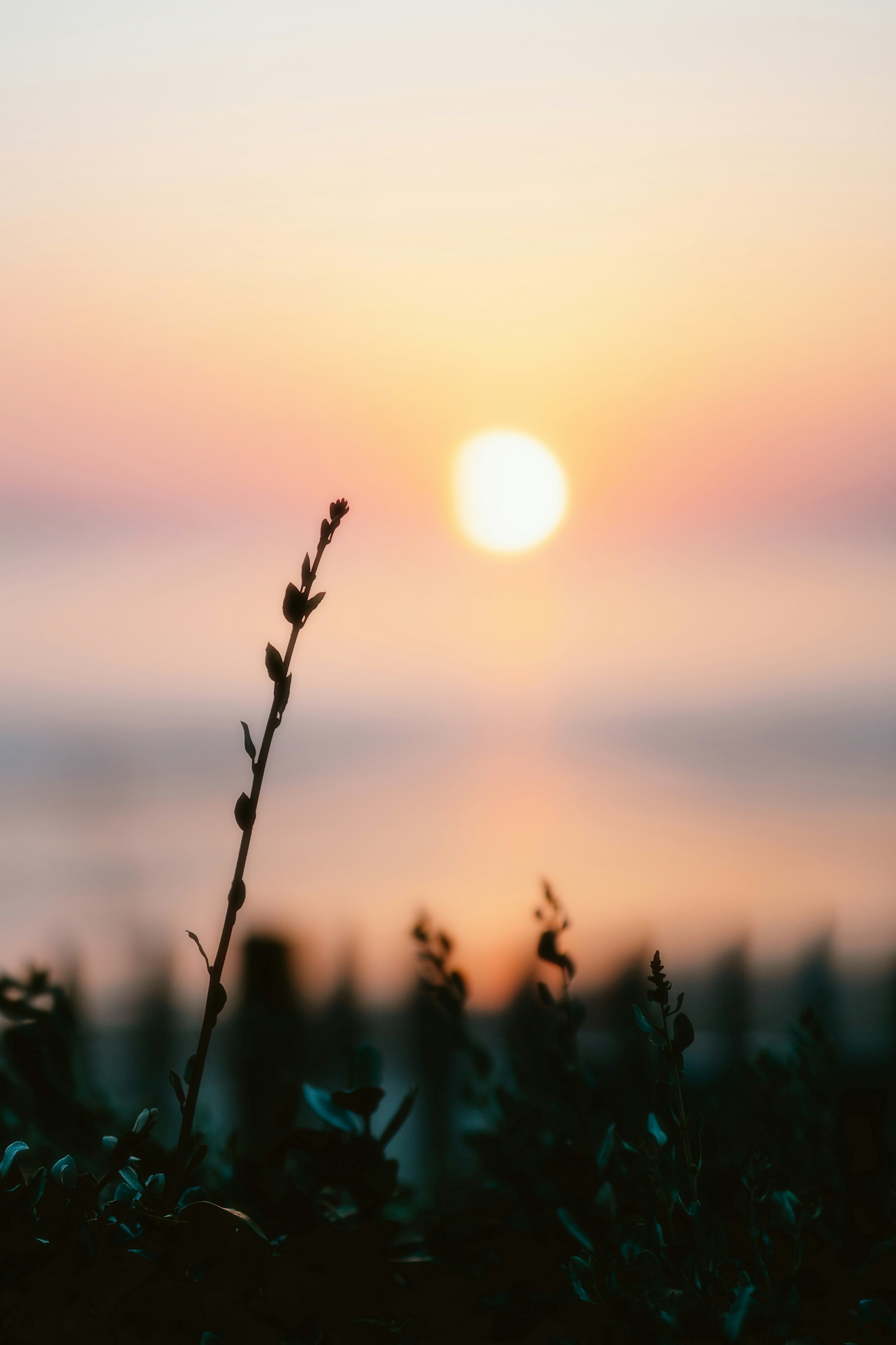 Photo by alingavriliuc