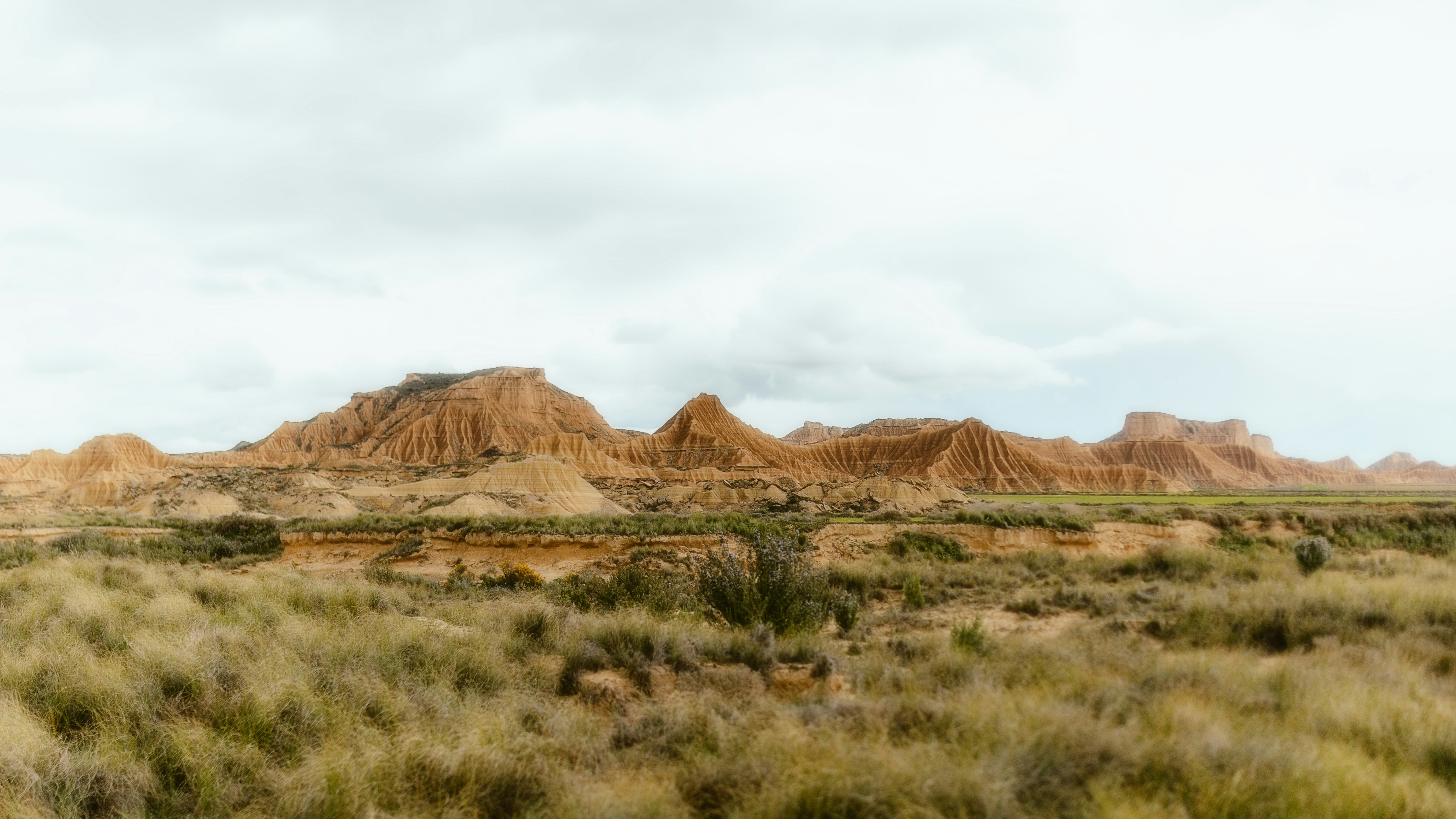 Photo by alingavriliuc