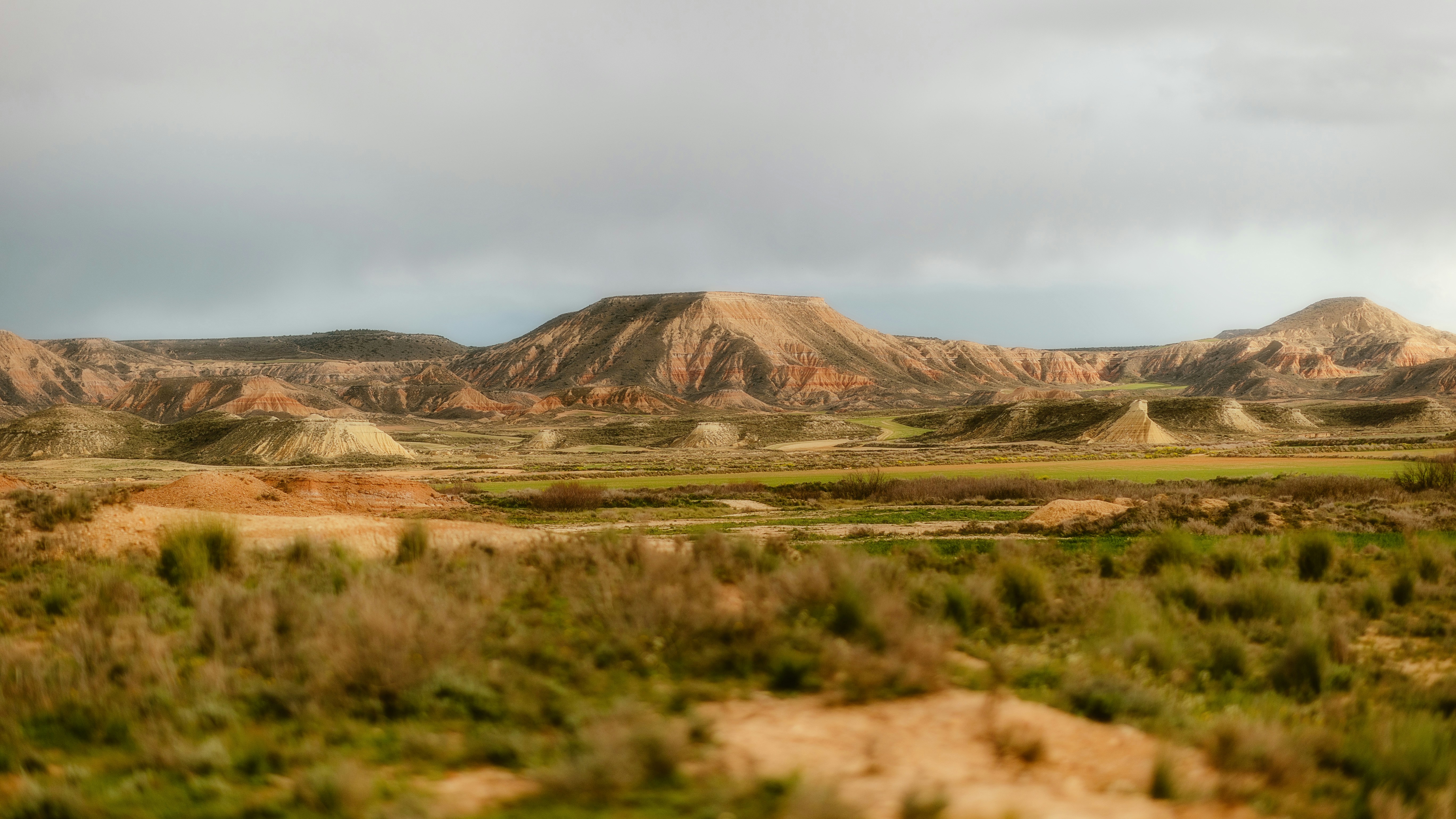 Photo by alingavriliuc