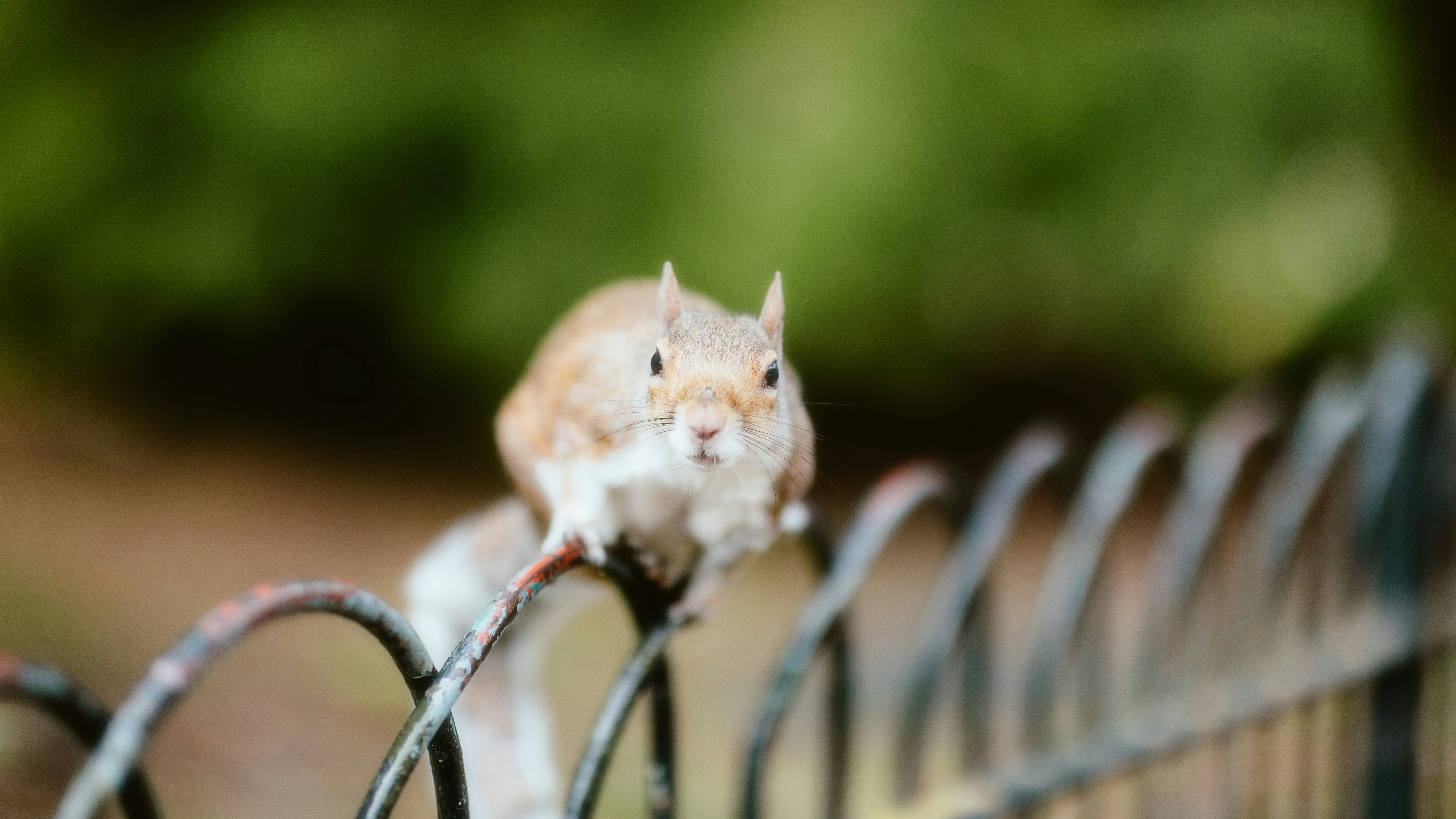 Photo by alingavriliuc