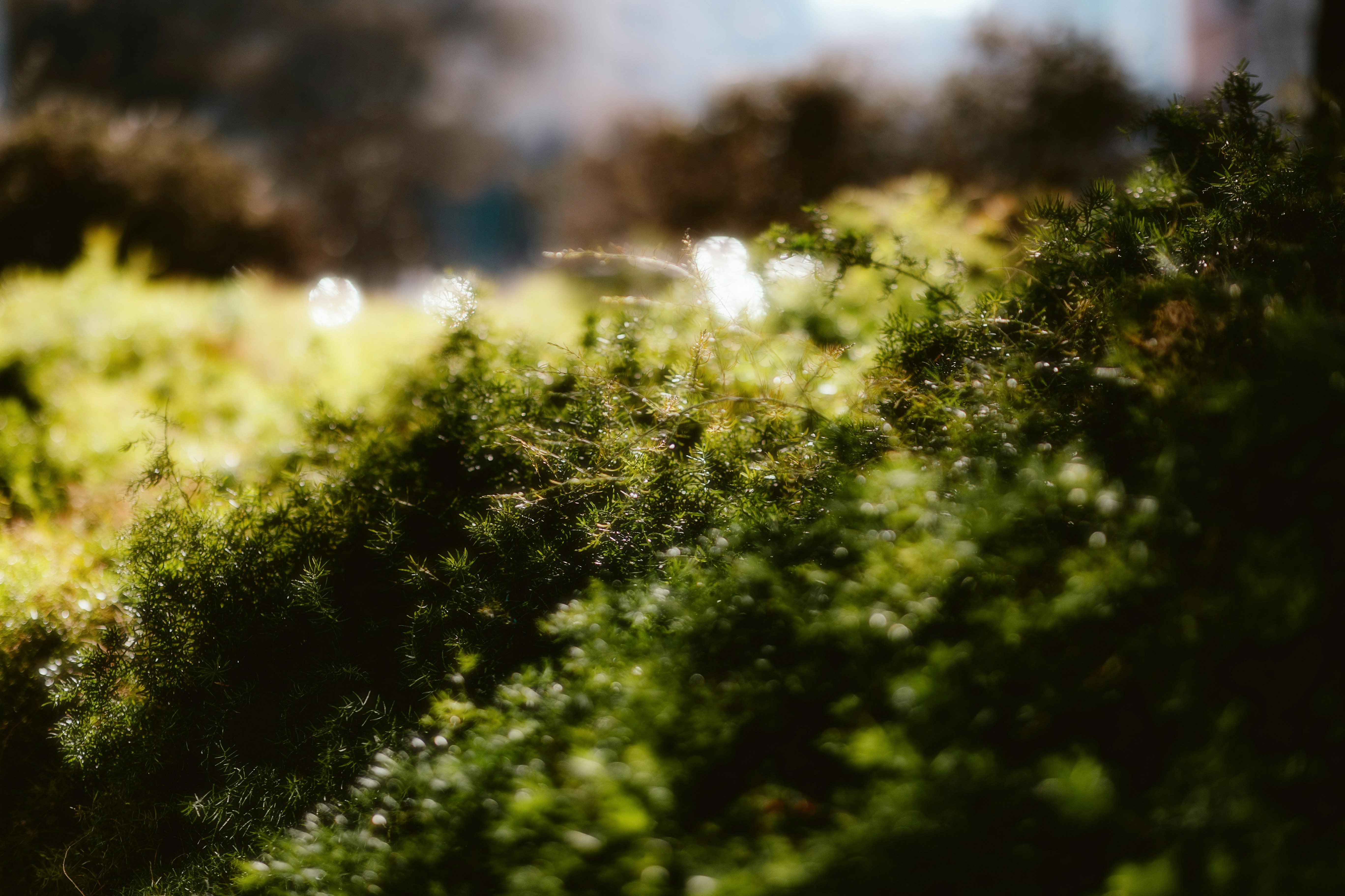 Photo by alingavriliuc