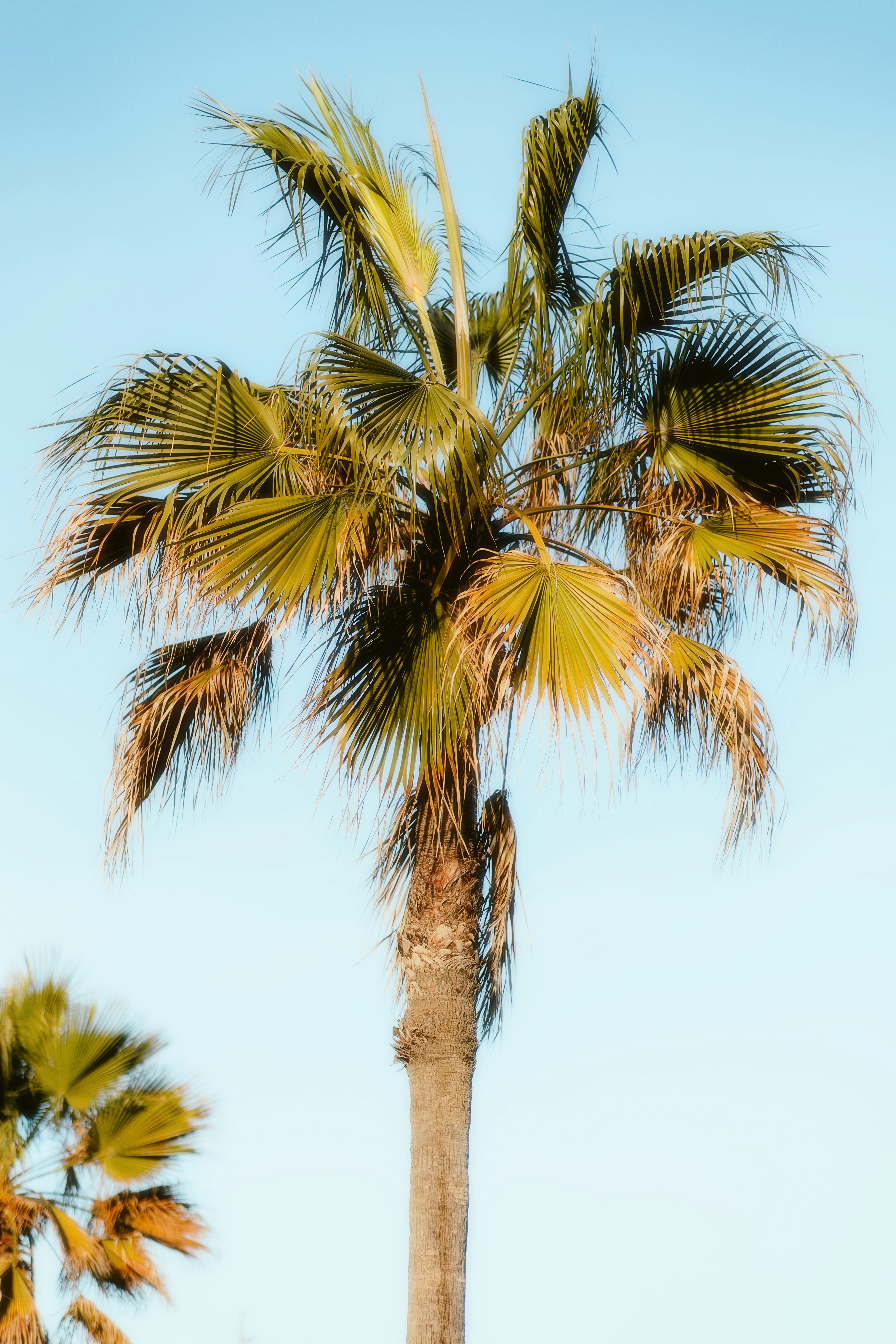 Photo by alingavriliuc