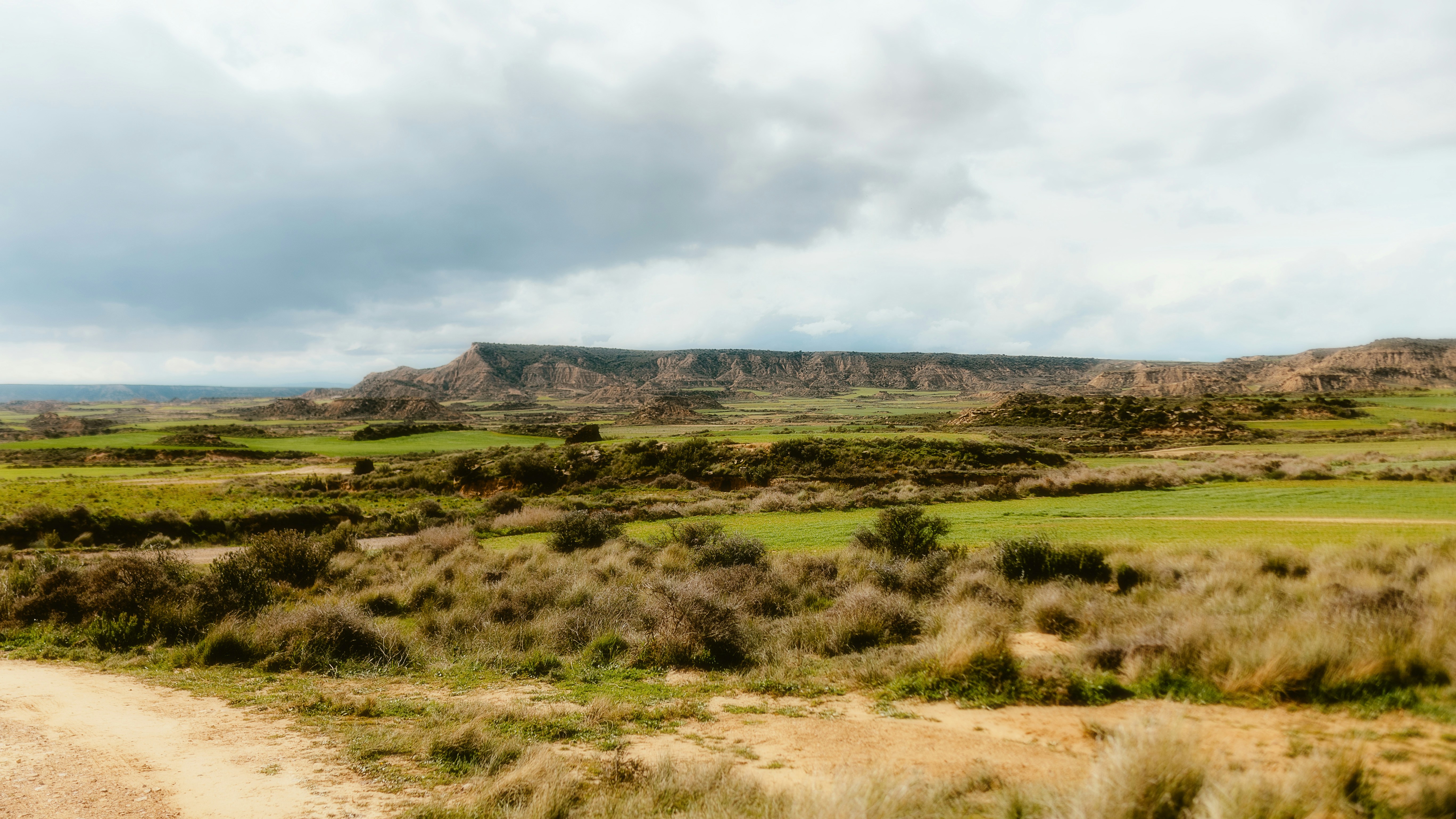 Photo by alingavriliuc