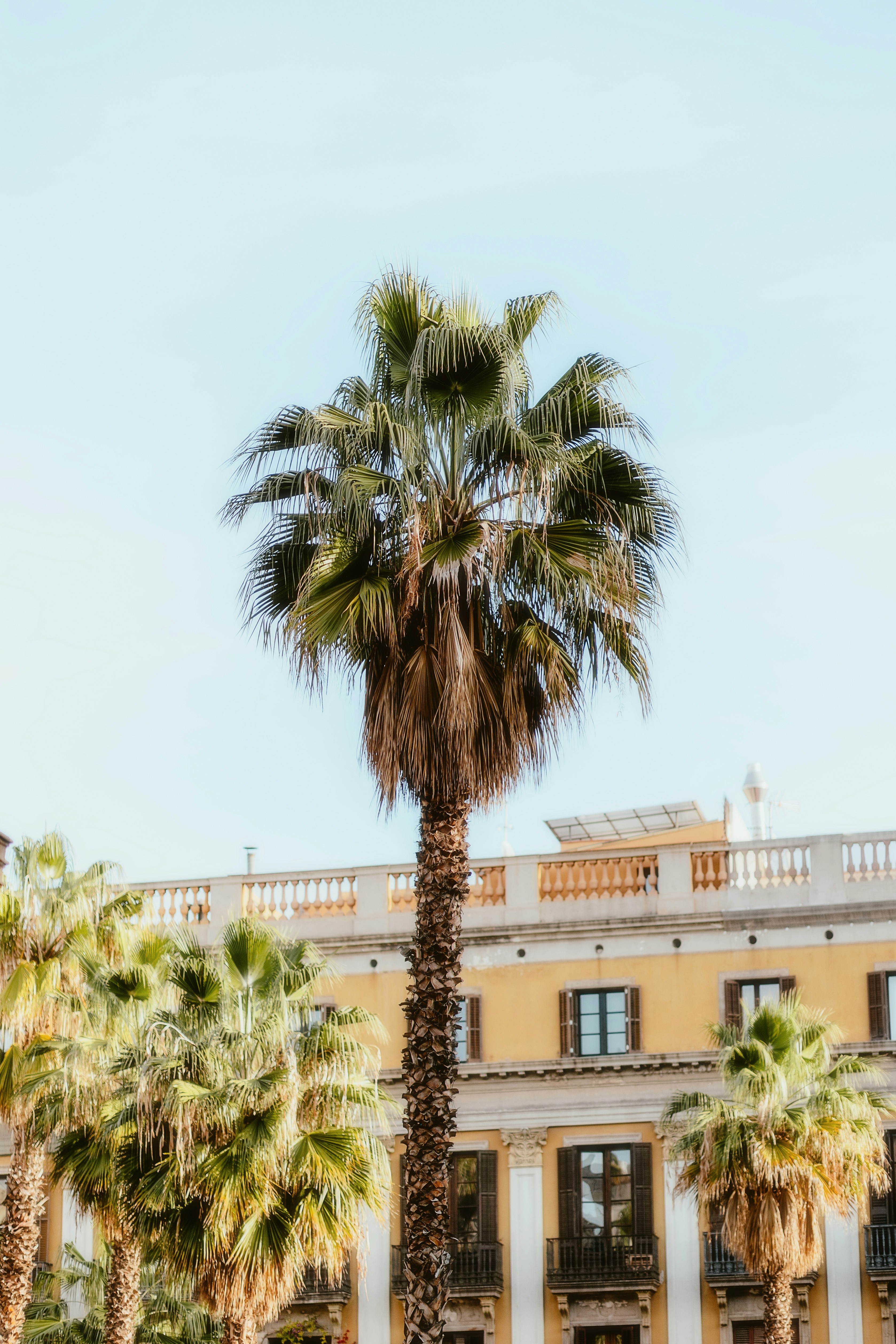 Photo by alingavriliuc