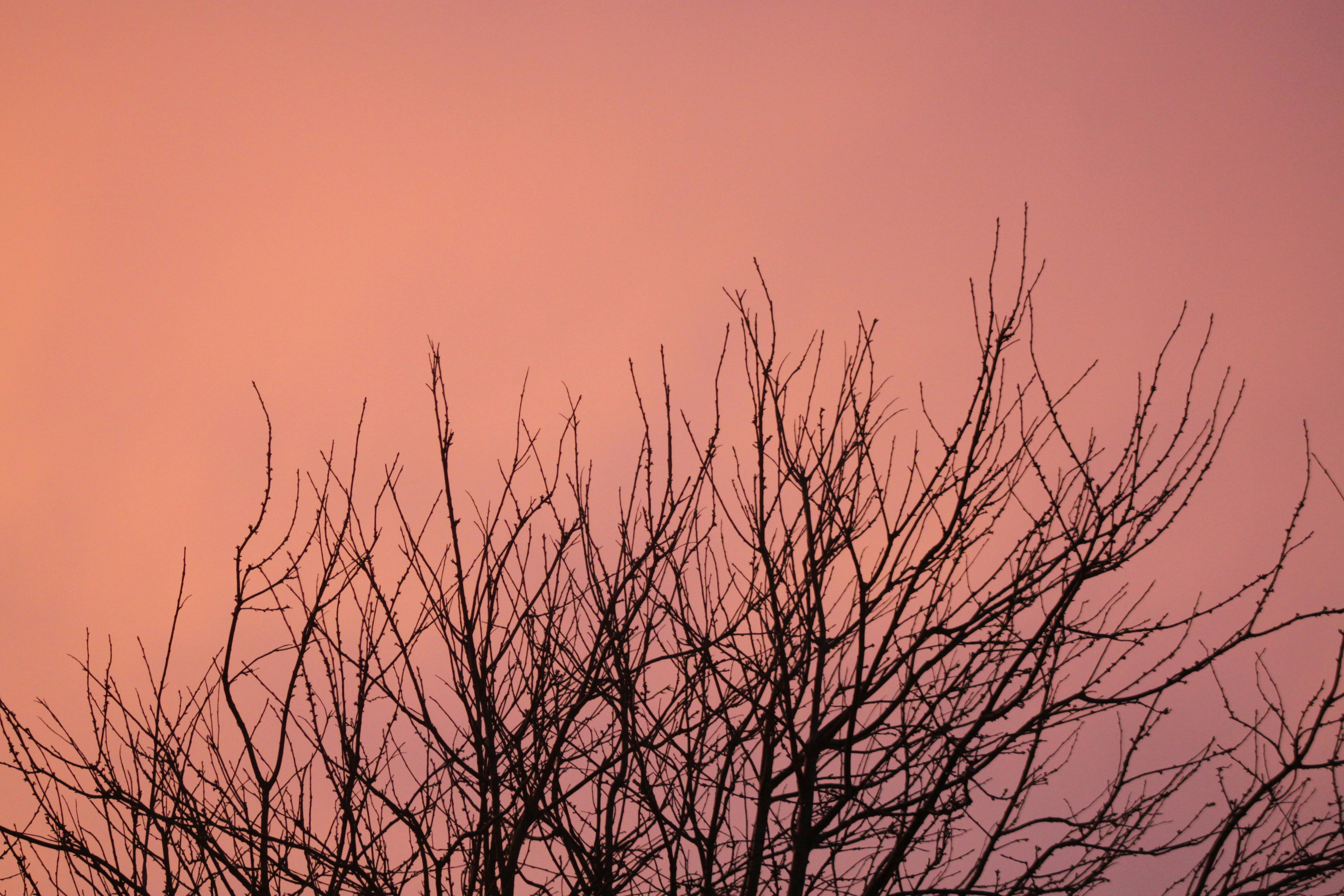 Photo by rubyphotography