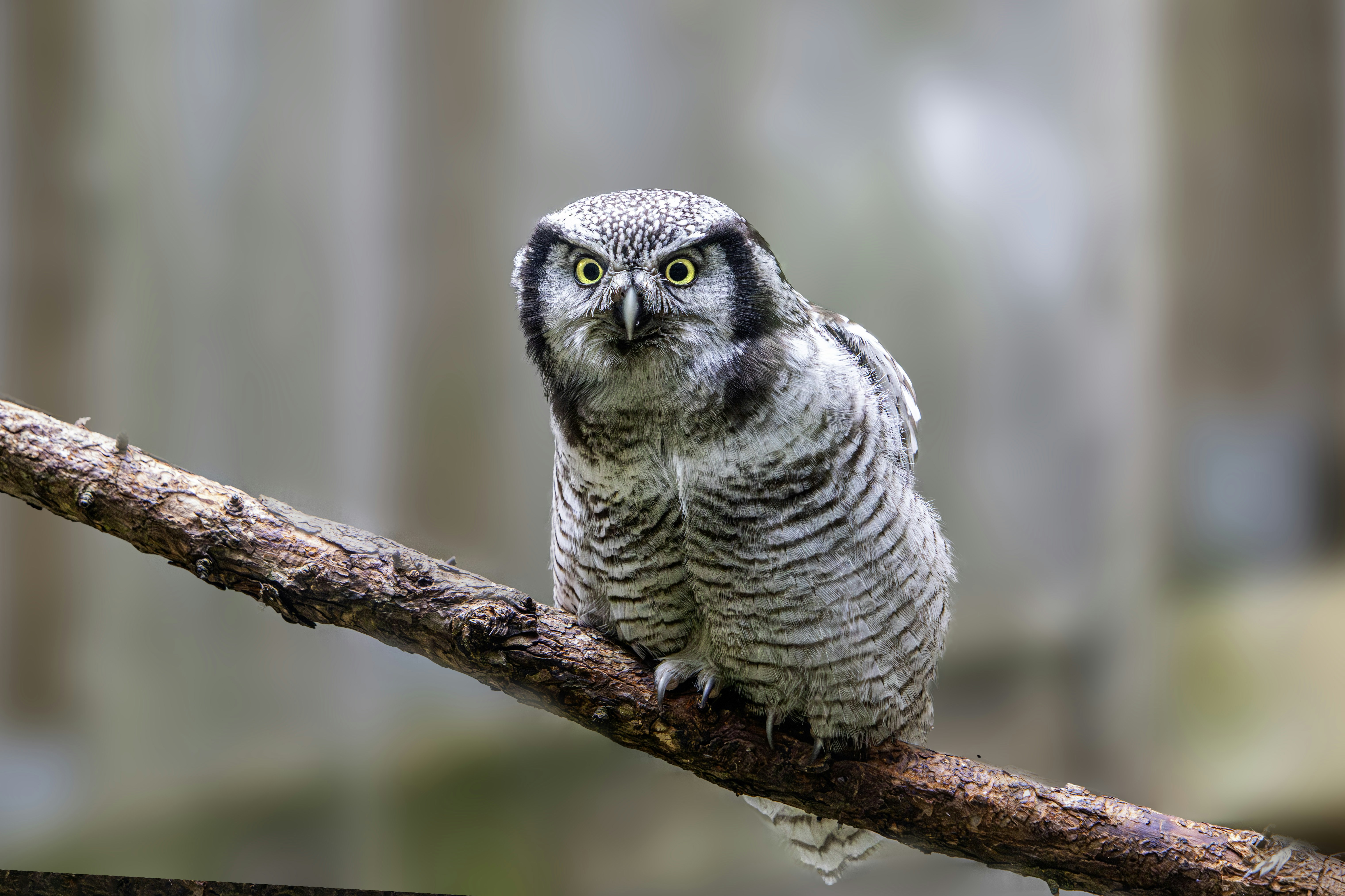 Photo by erik_karits