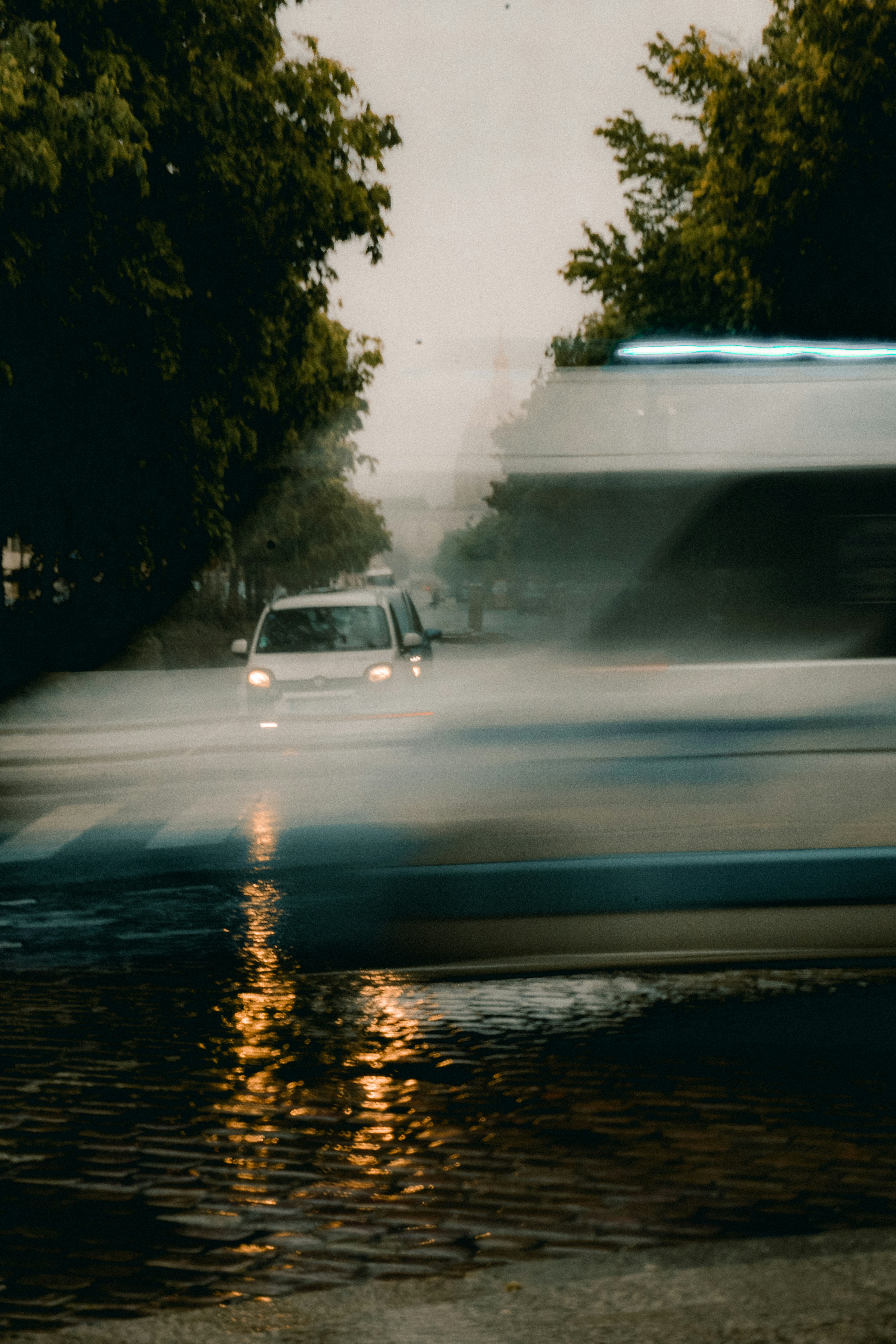 a car driving down a flooded street next to trees