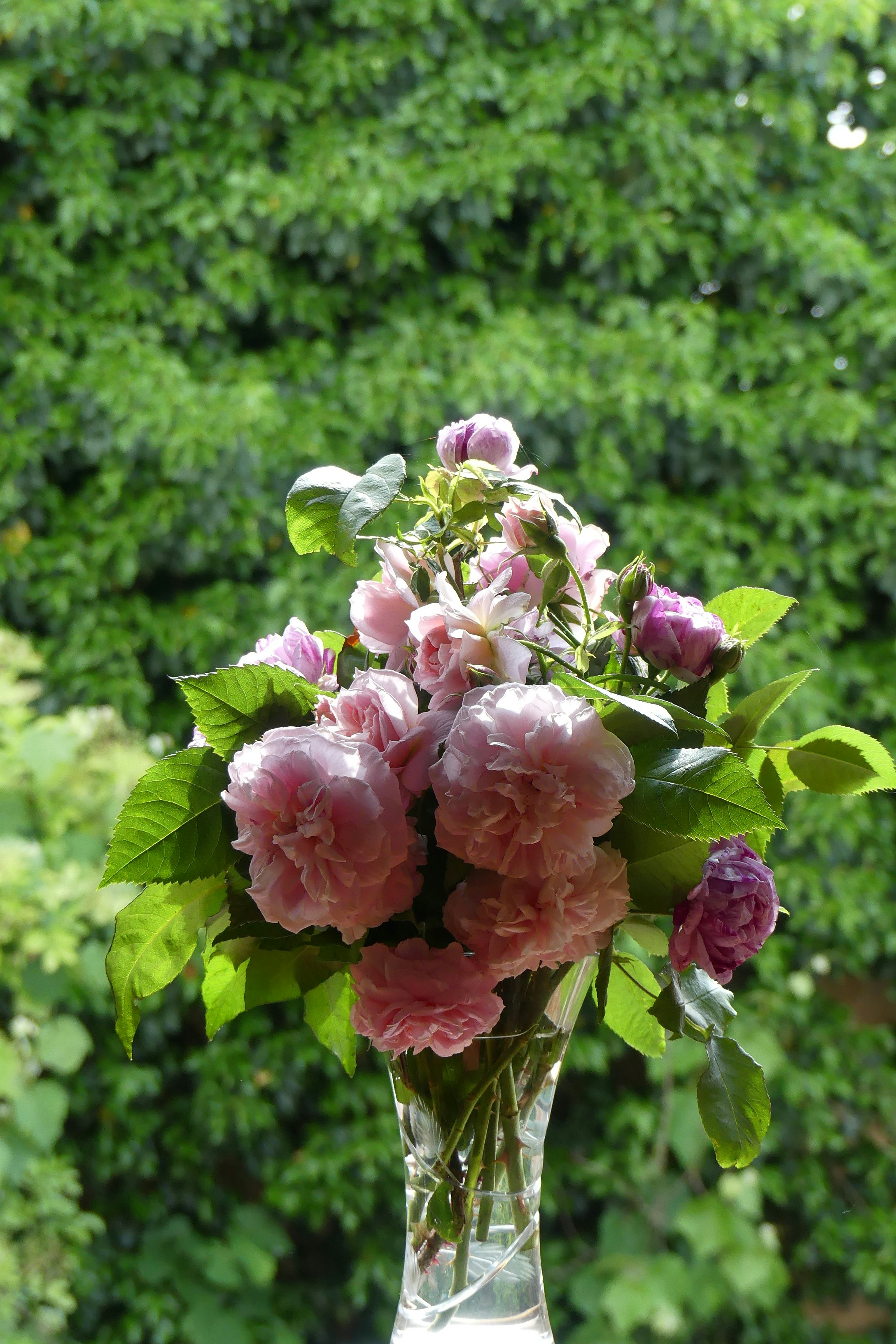 a vase filled with pink flowers on top of a table