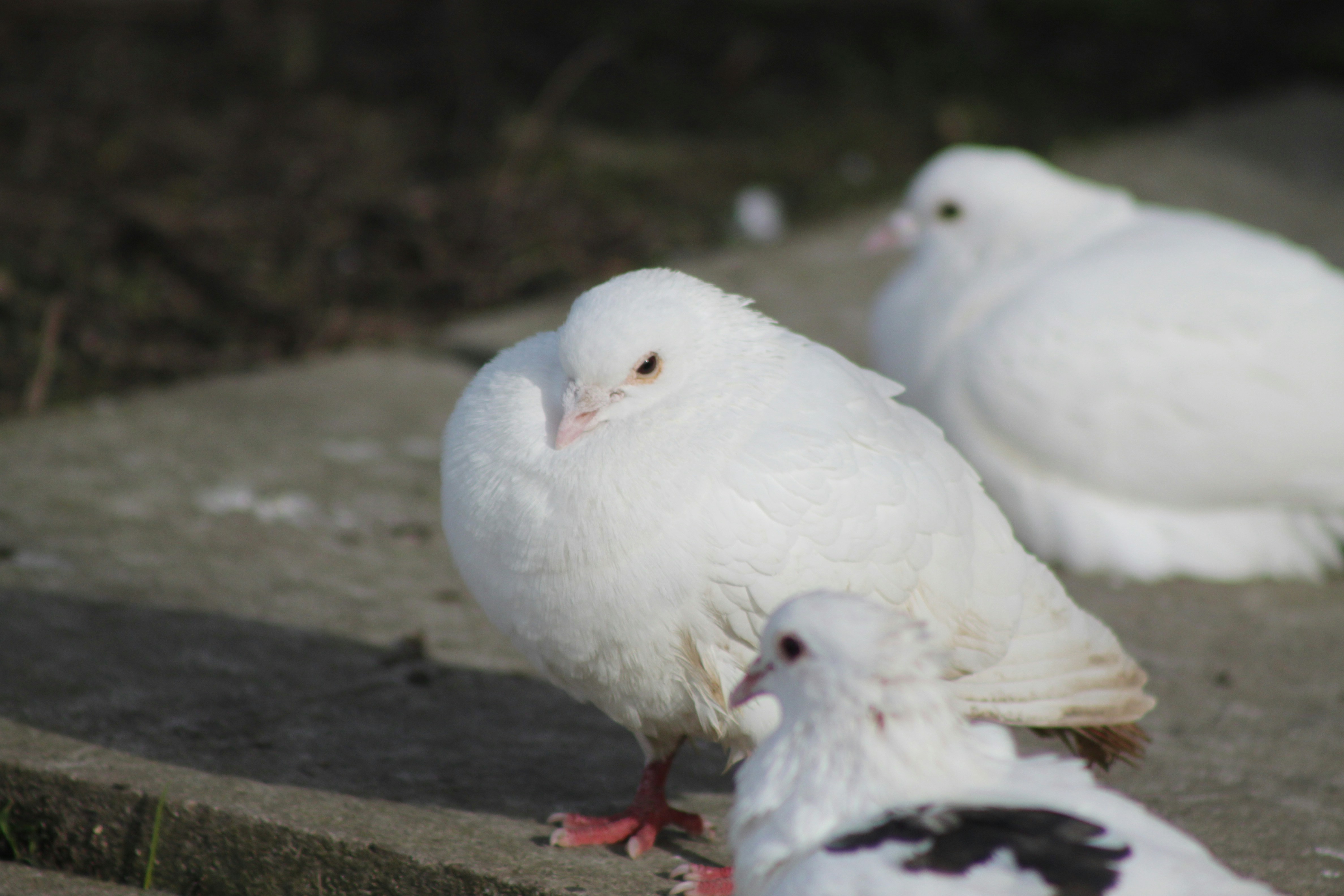 Photo by rubyphotography