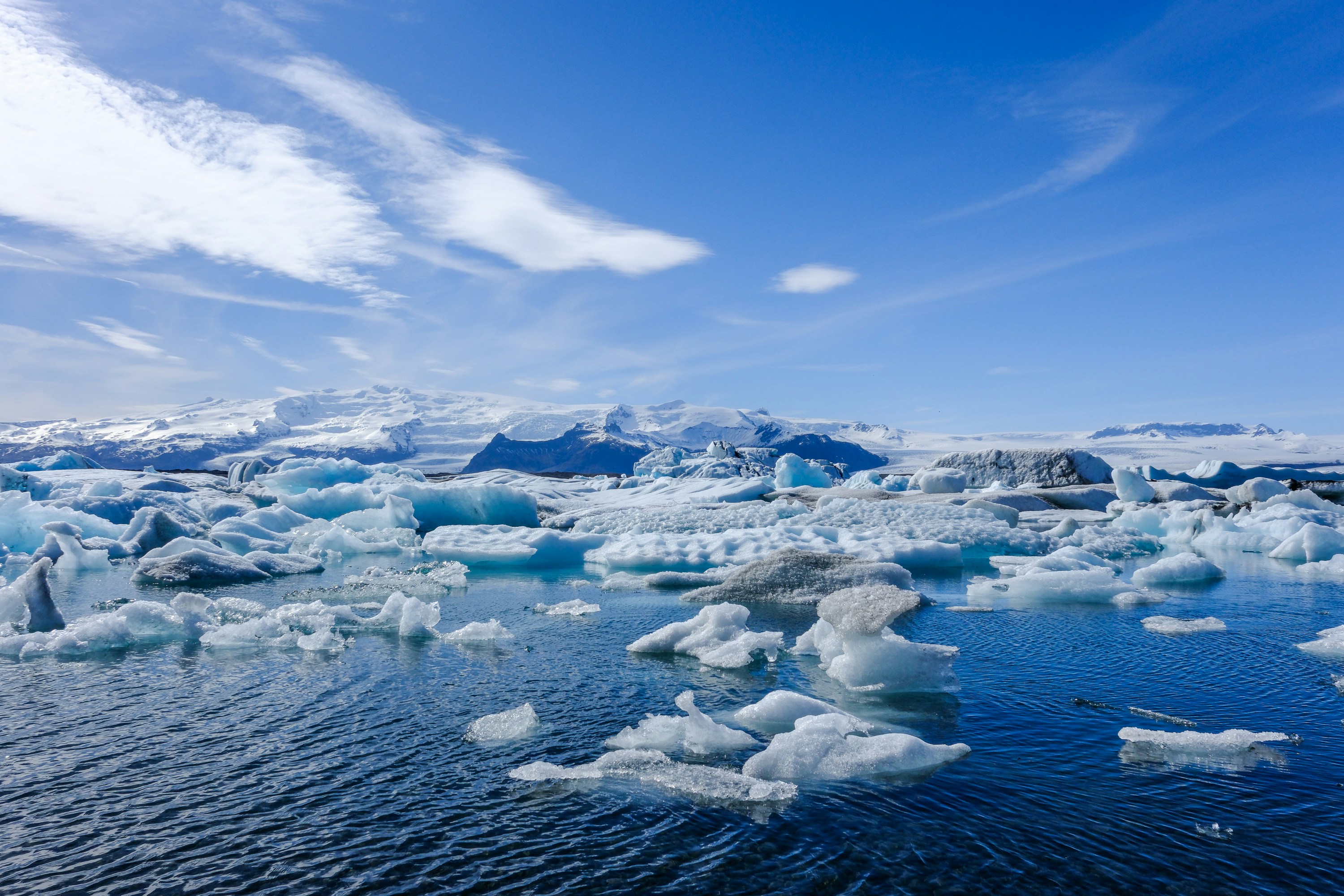 Photo by cestmoisheedy