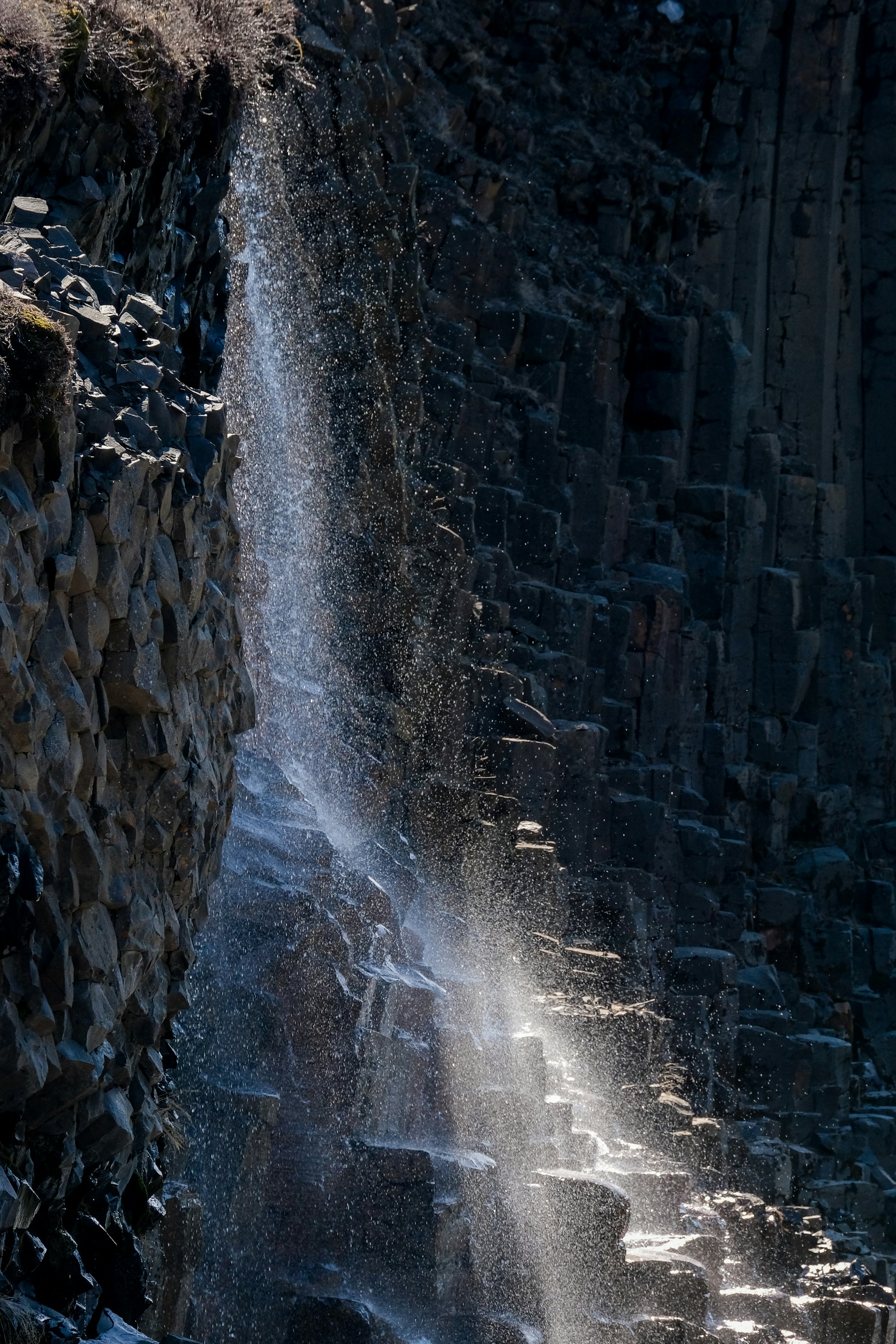 Photo by cestmoisheedy