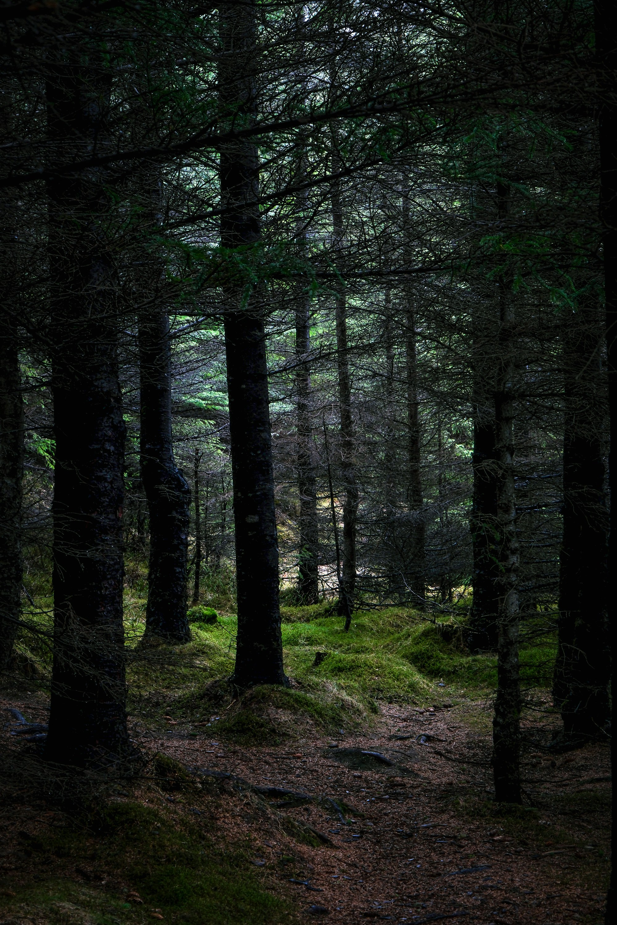 Photo by cestmoisheedy