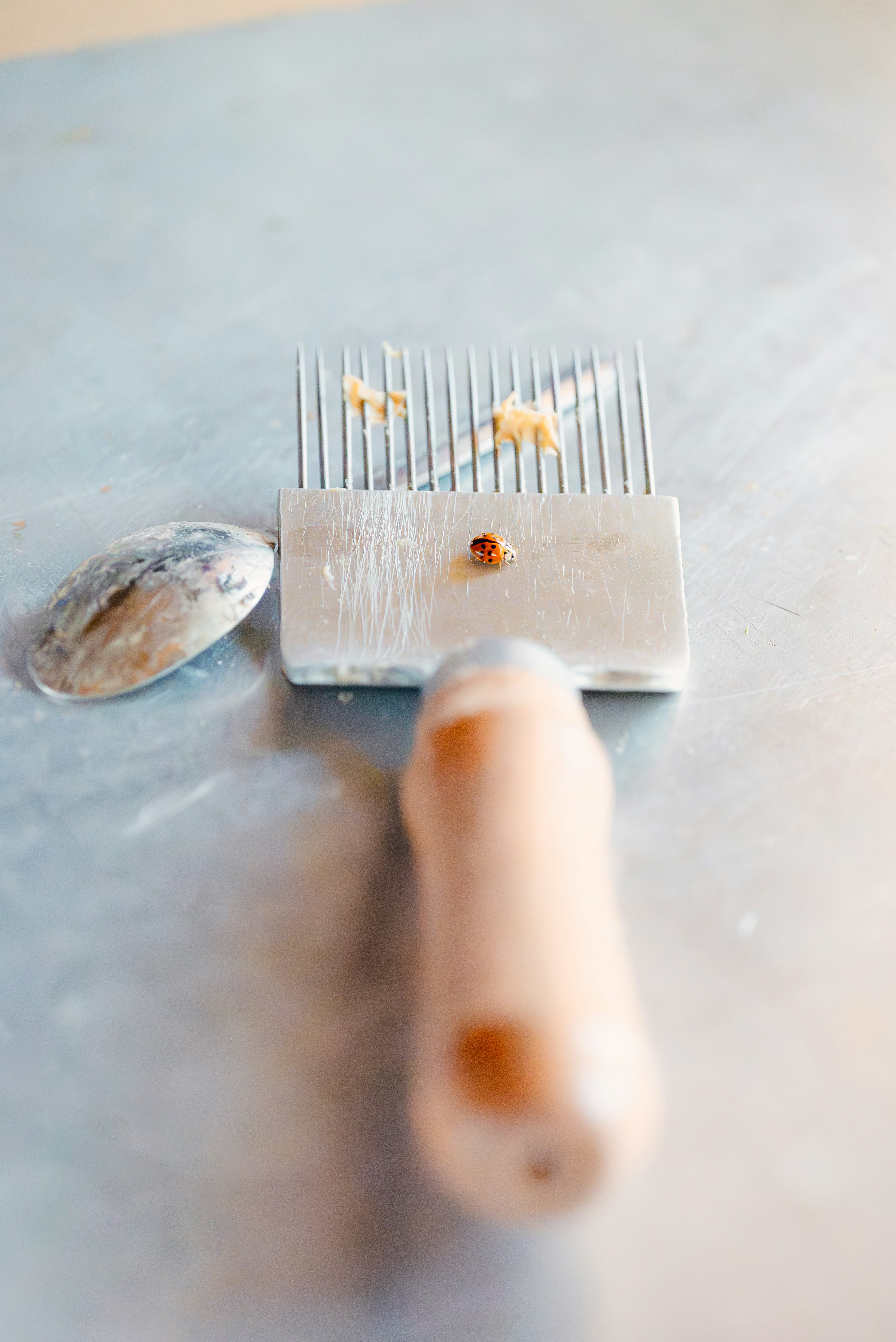 a comb and a spoon on a table