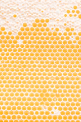 a yellow and white background with circles
