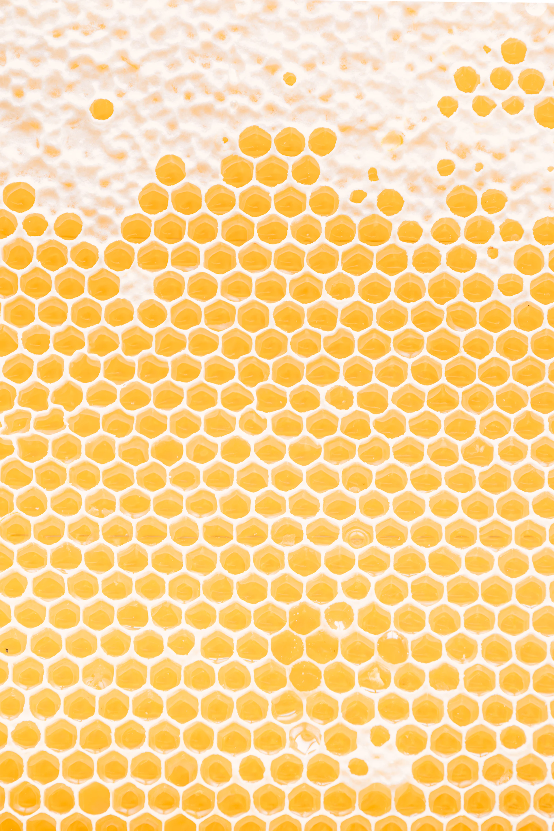 a yellow and white background with circles