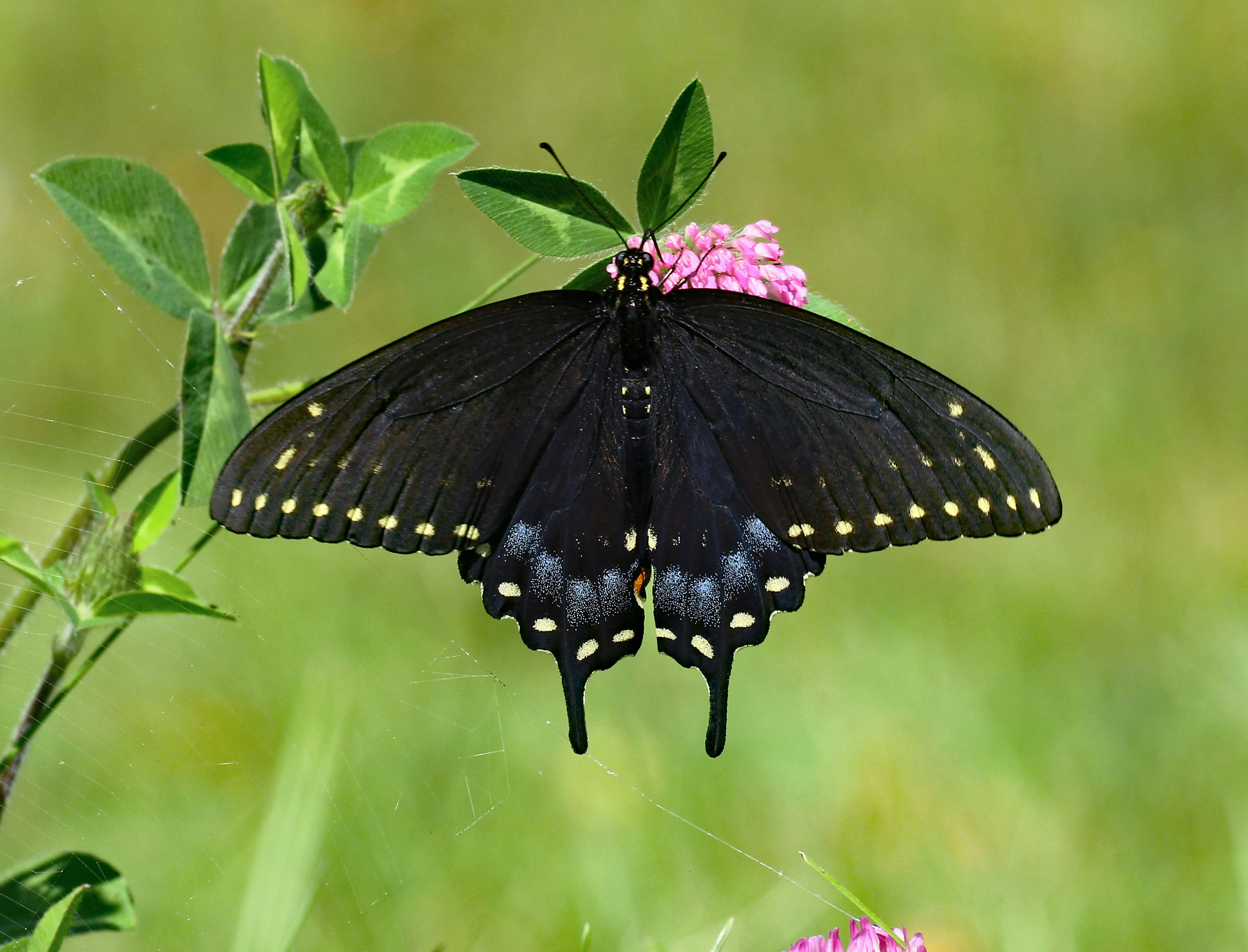 Photo by telliottmbamsc