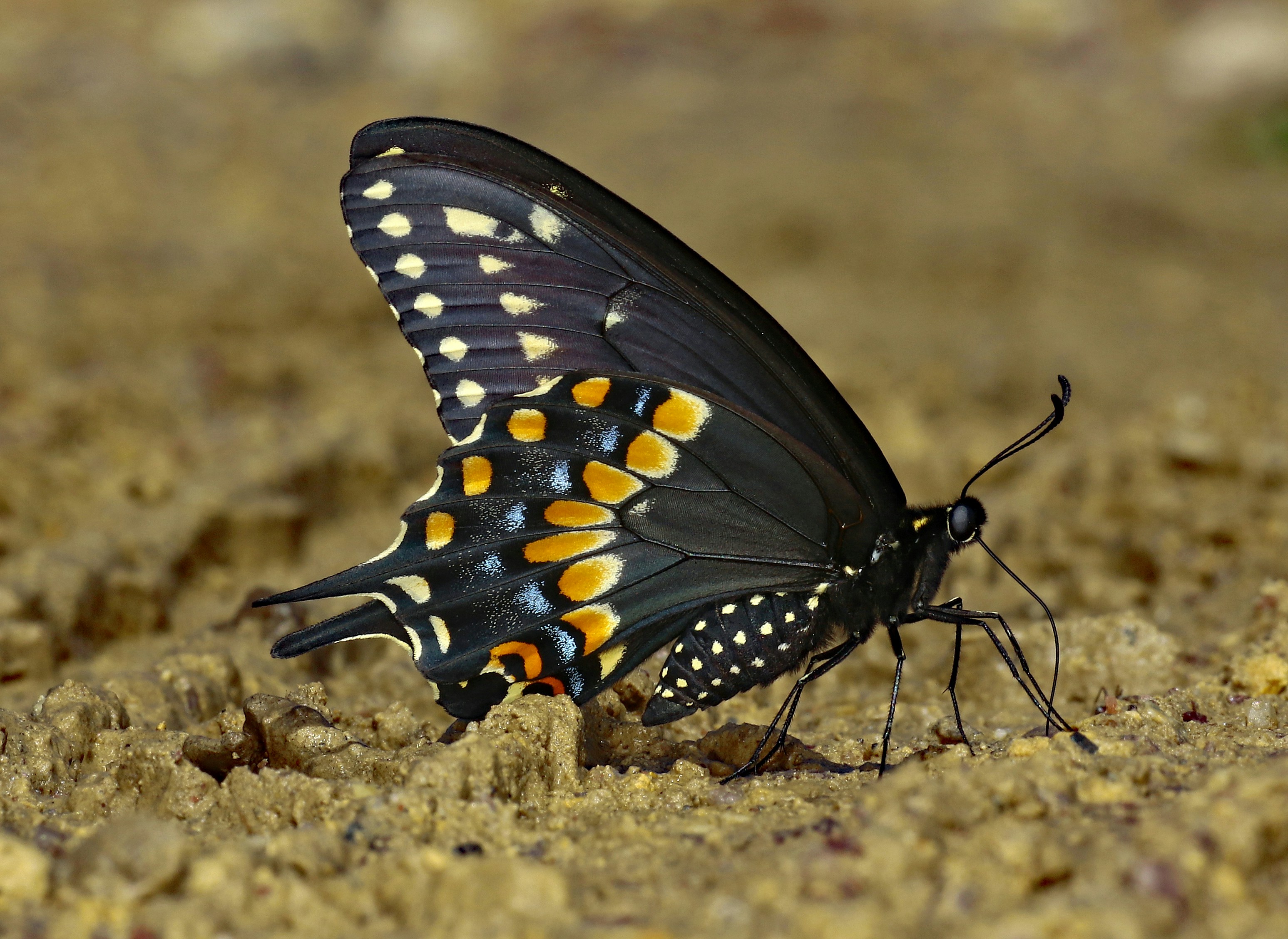 Photo by telliottmbamsc