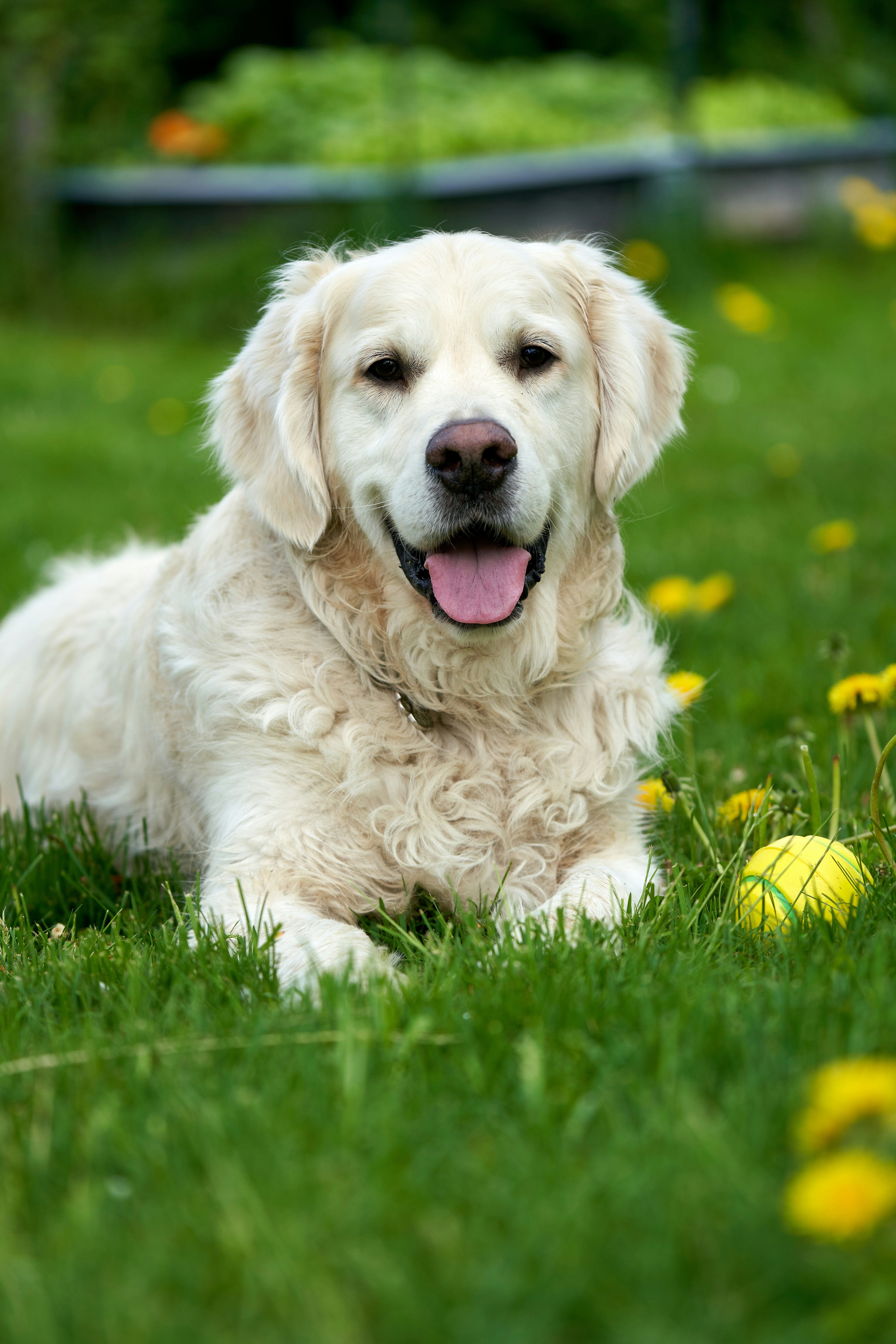 Photo by davotibarna