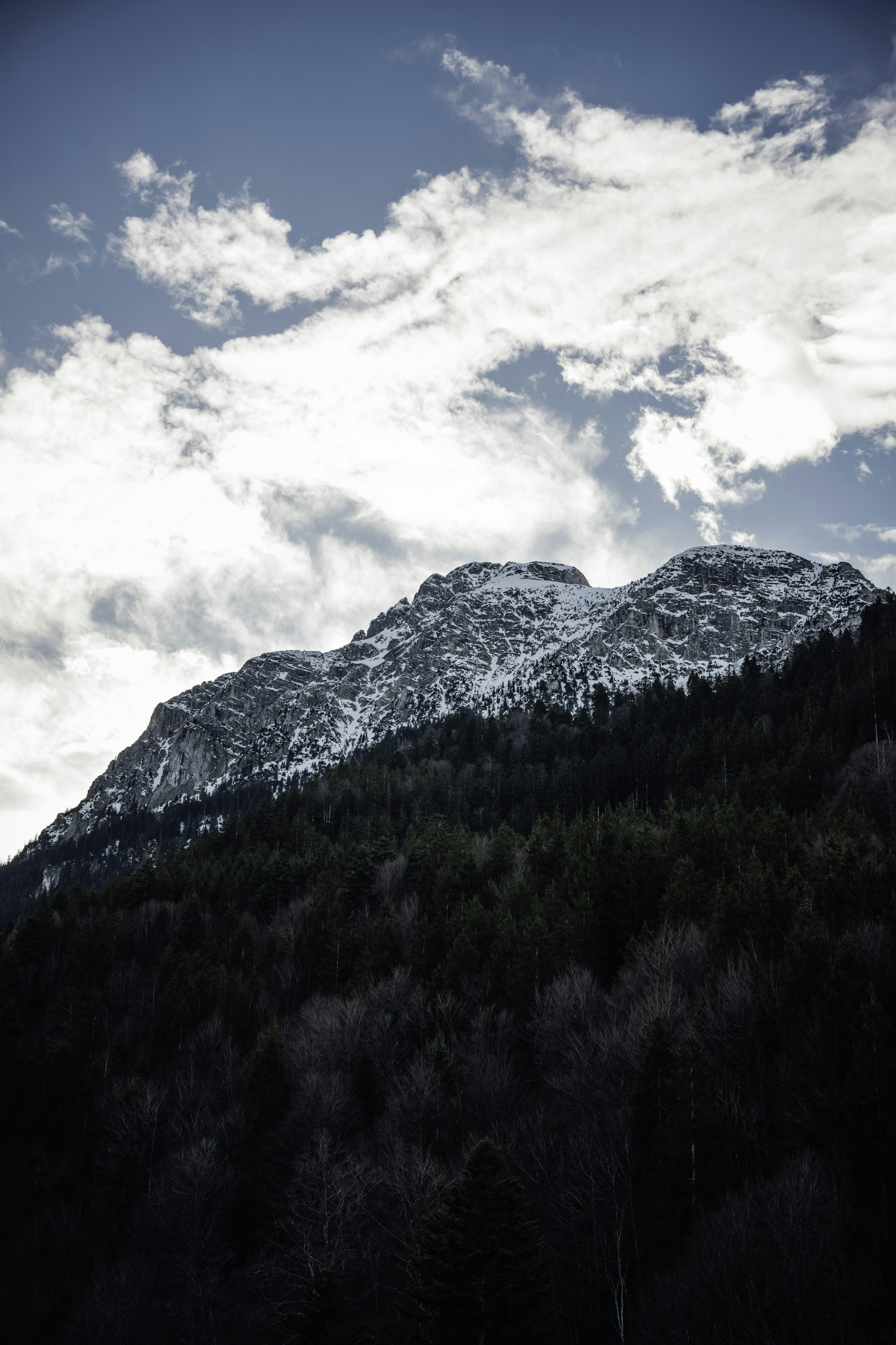 Photo by winstontjia