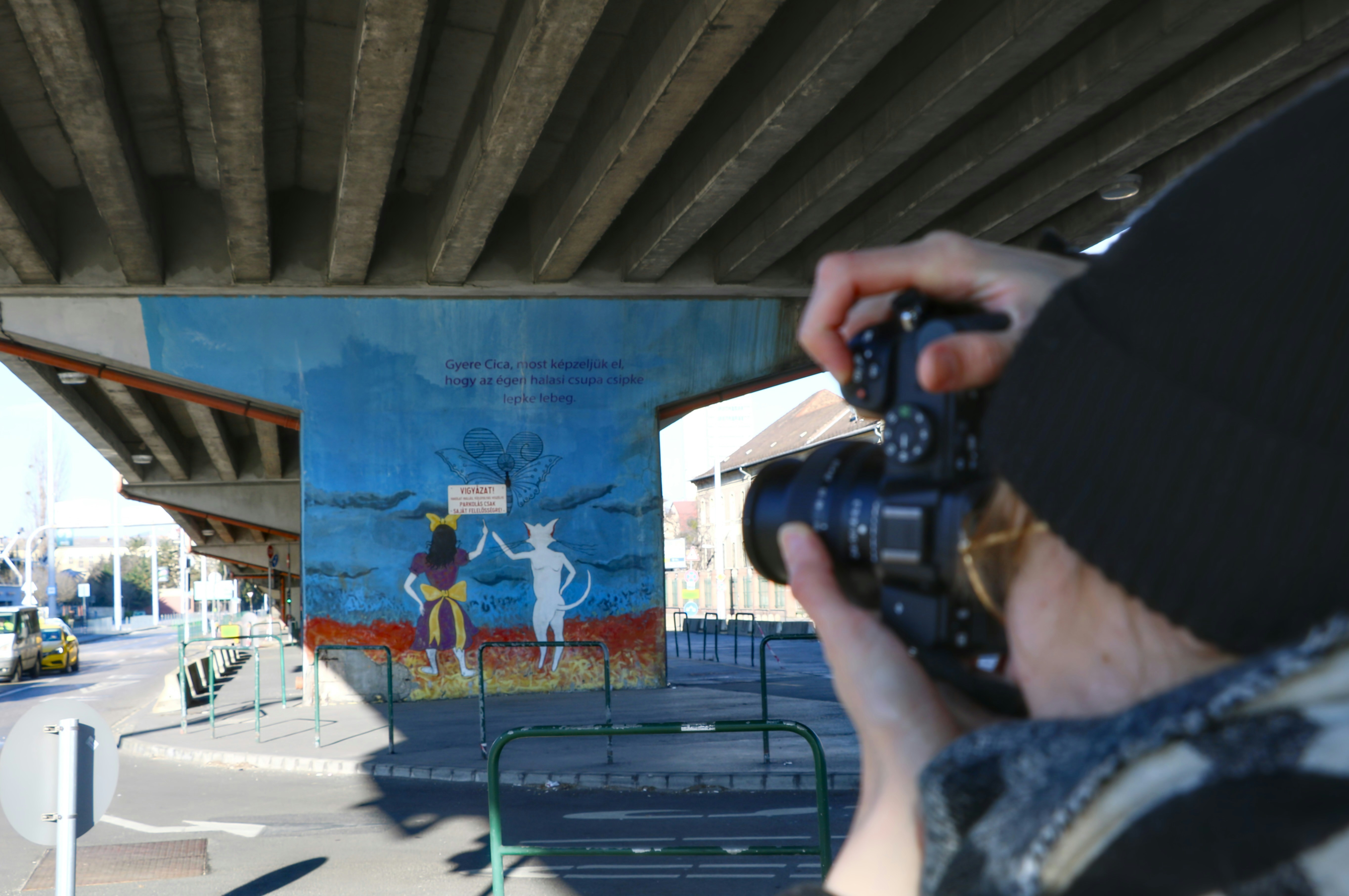 a man taking a picture of a mural under a bridge