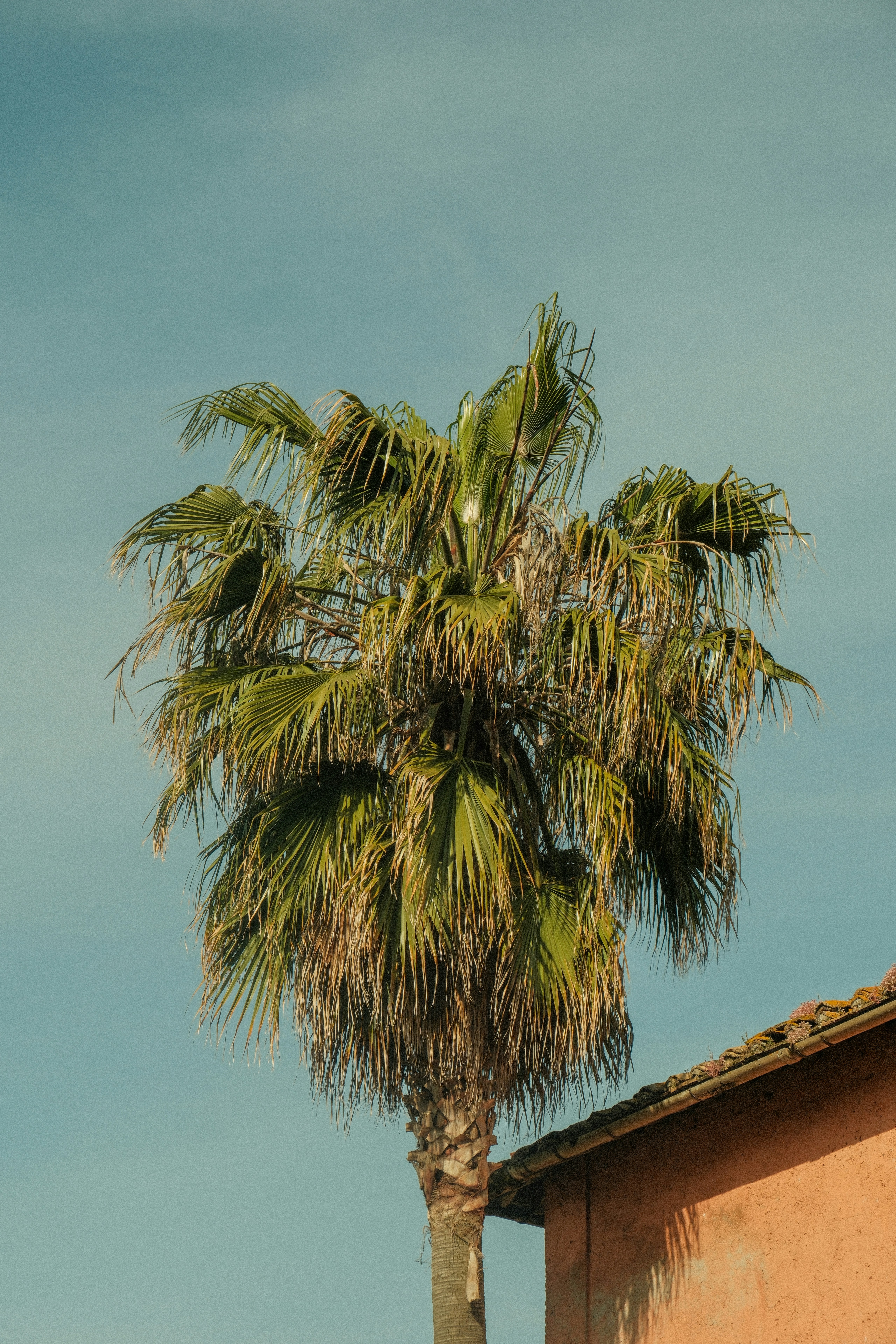 Photo by alexispresa