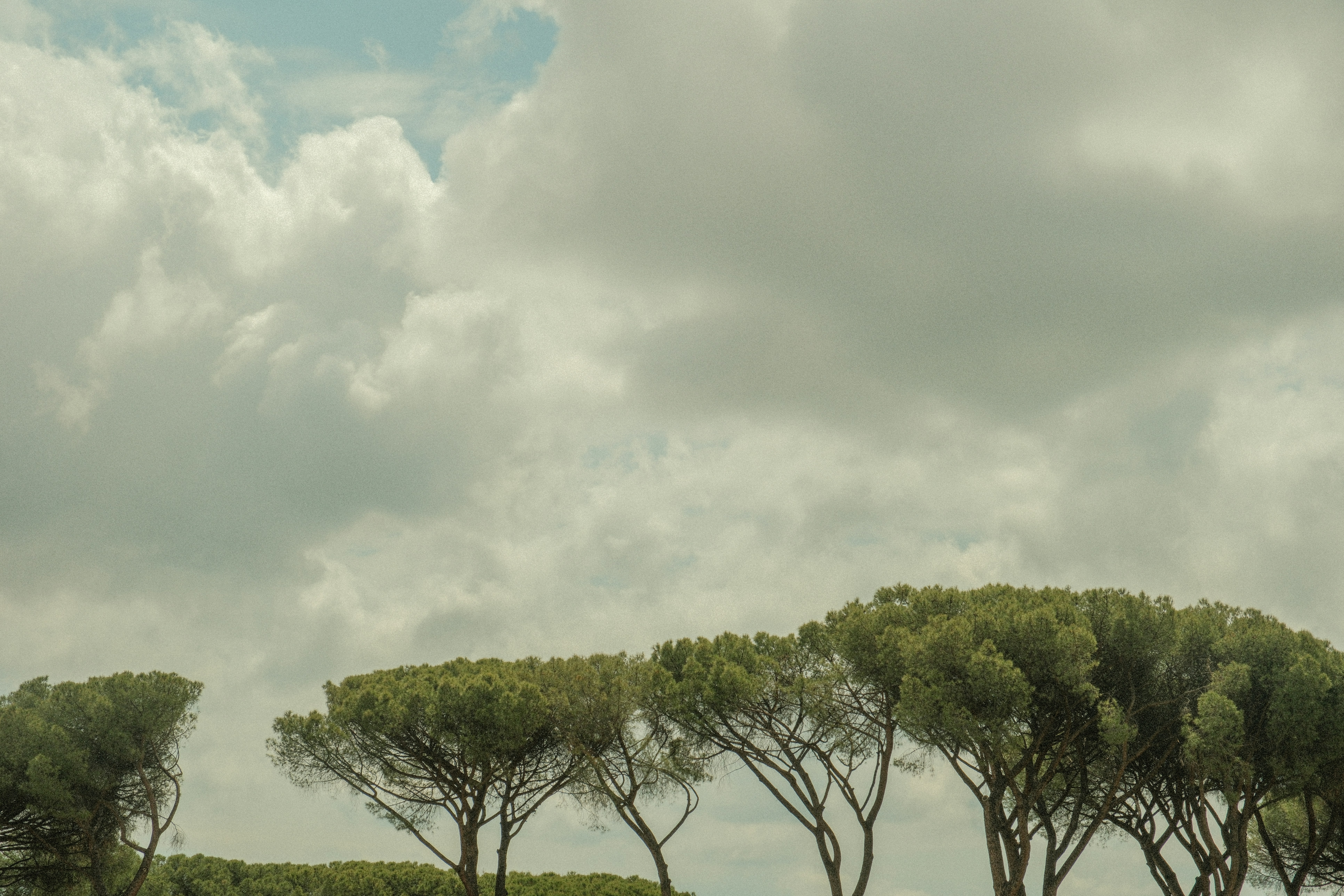 Photo by alexispresa