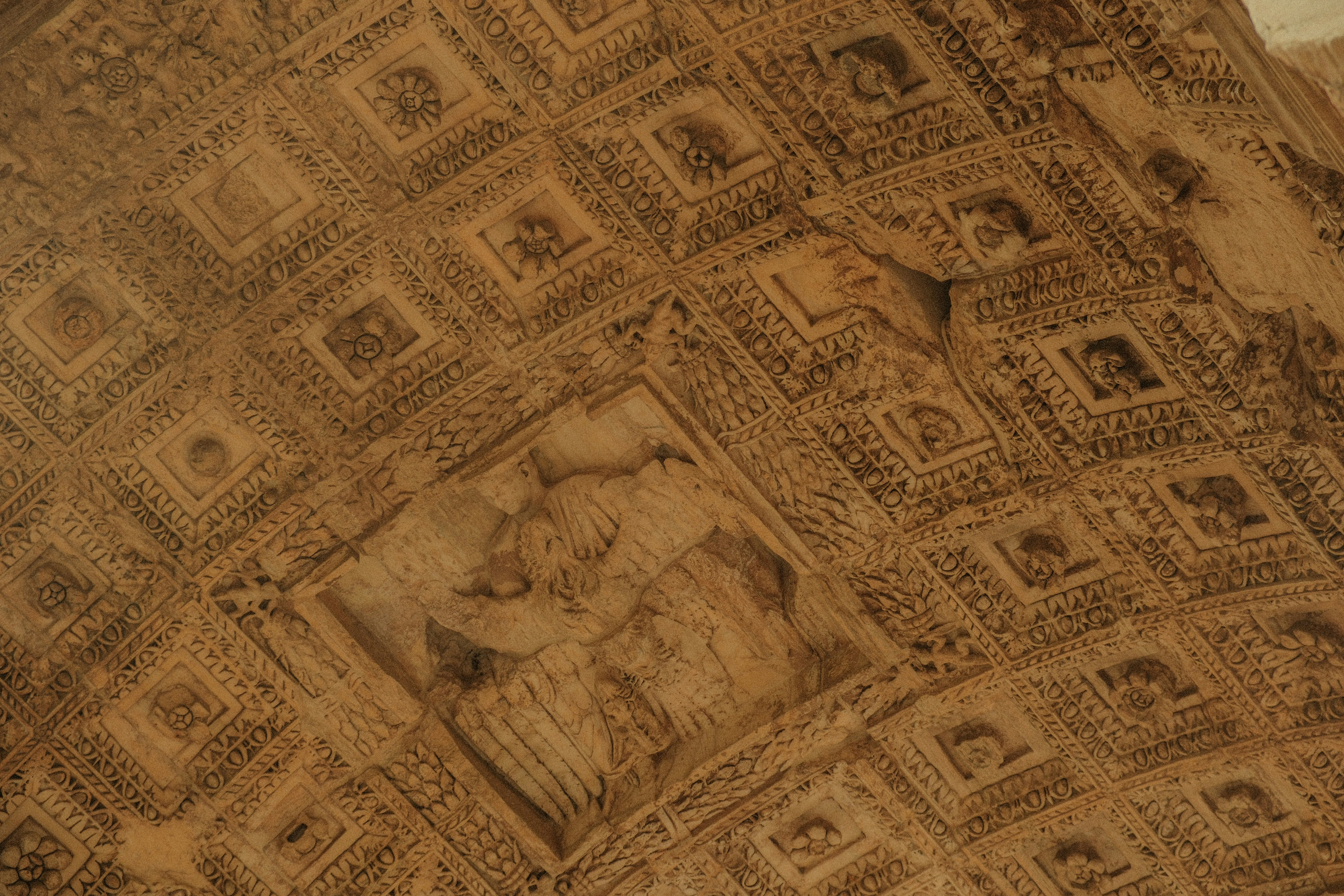 Photo by alexispresa