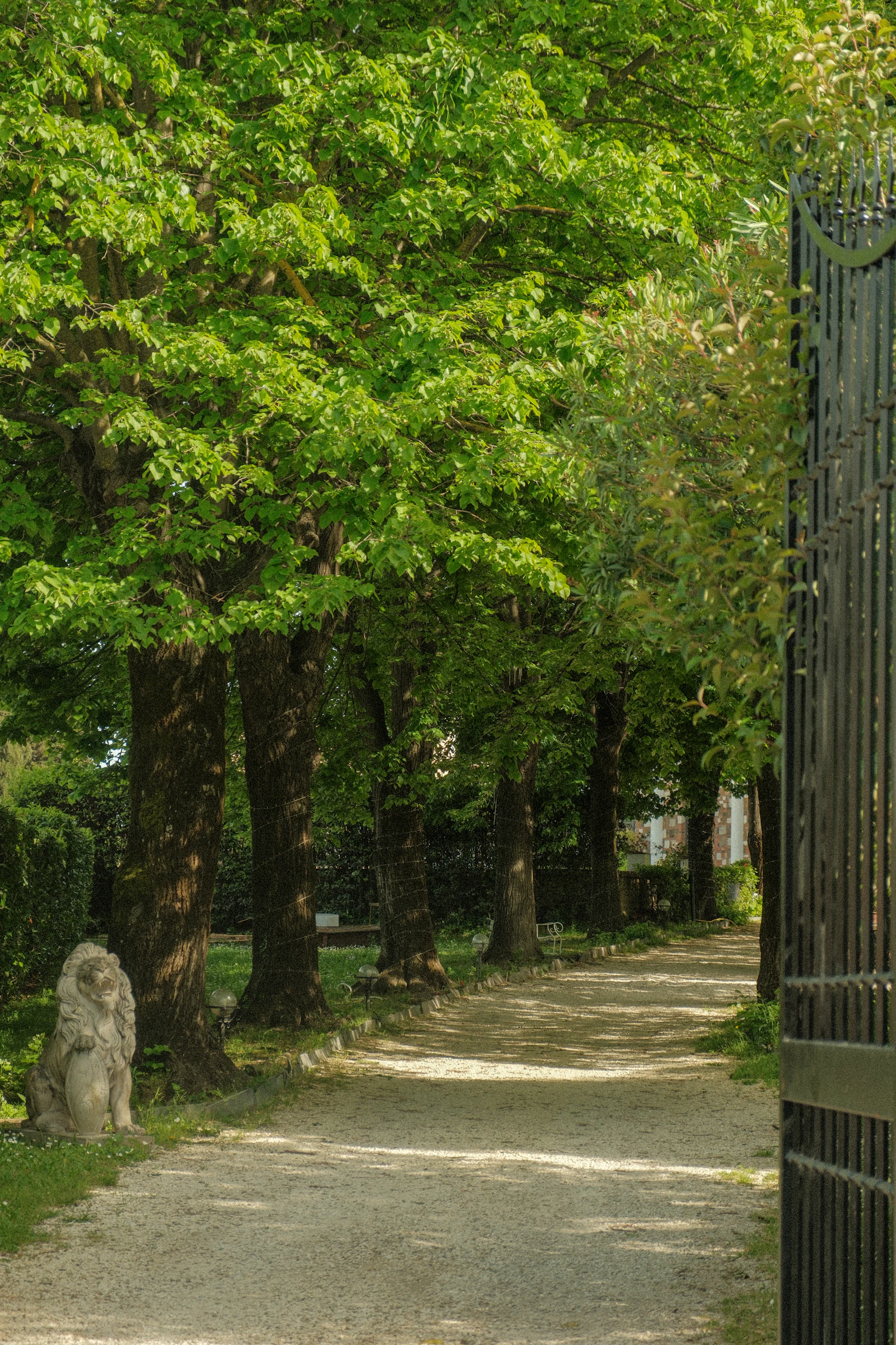 Iron gate and fence line at a property entrance