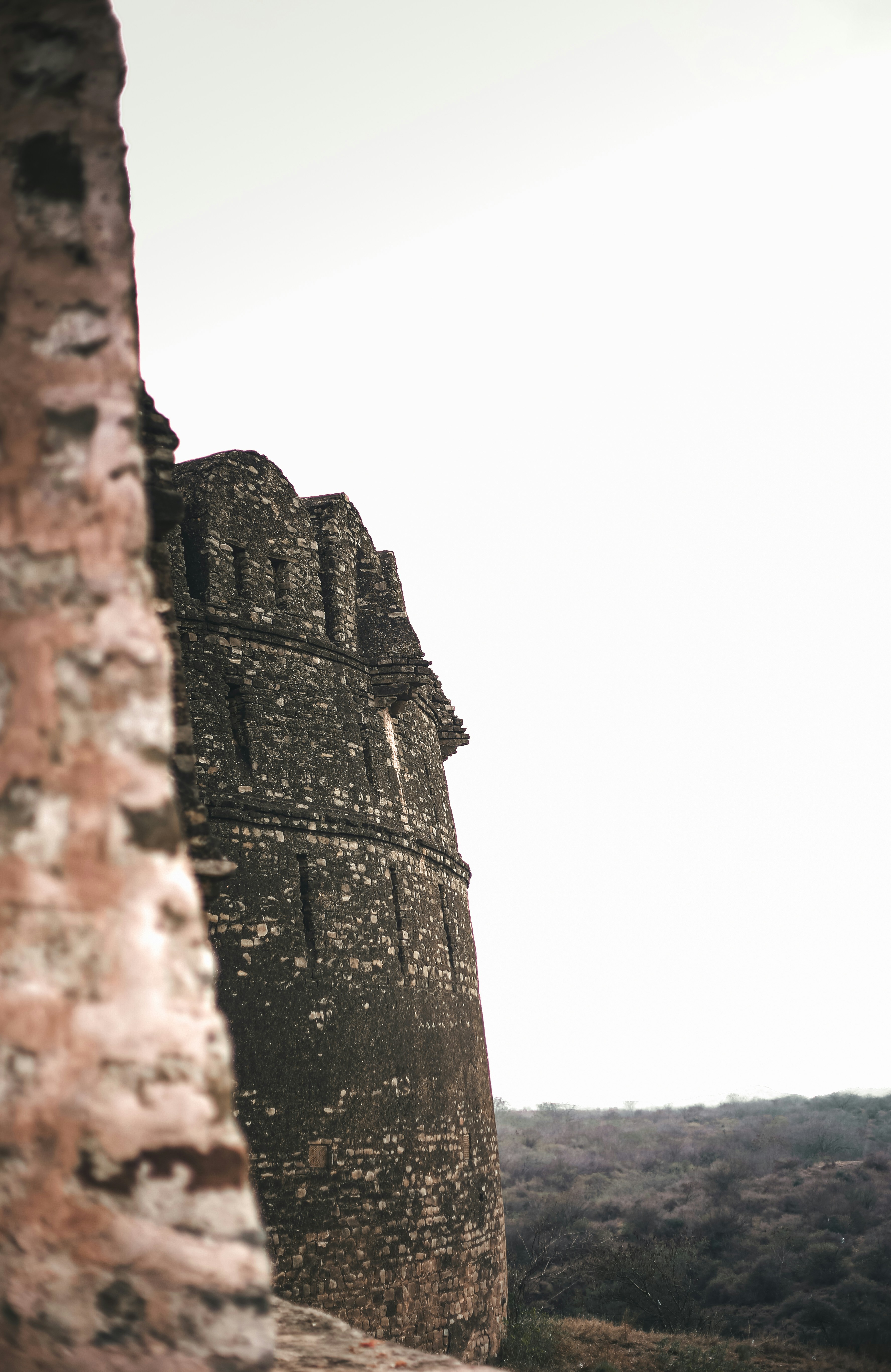 Photo by hassanjavedd