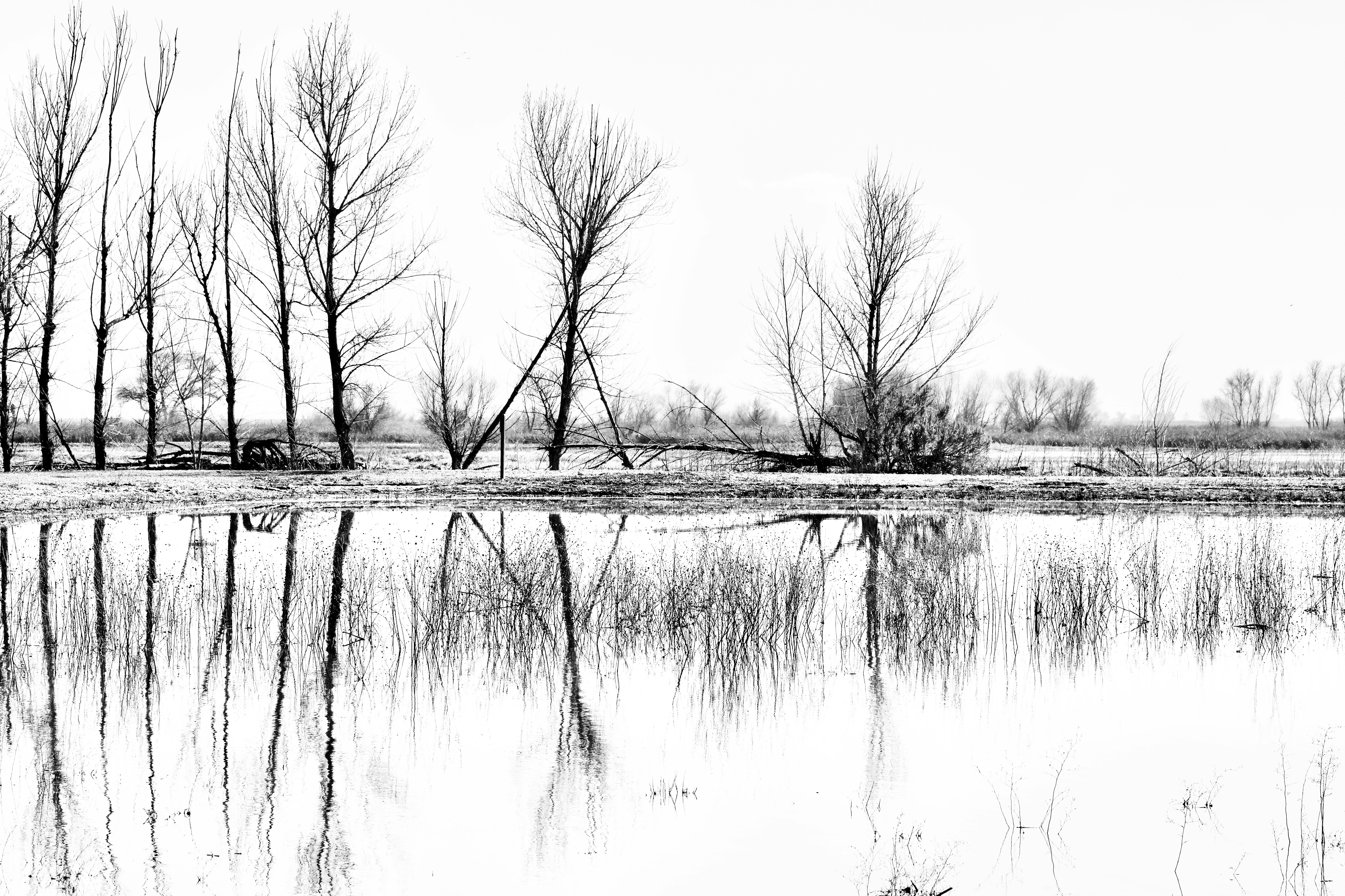 Photo by 100tarpontrout