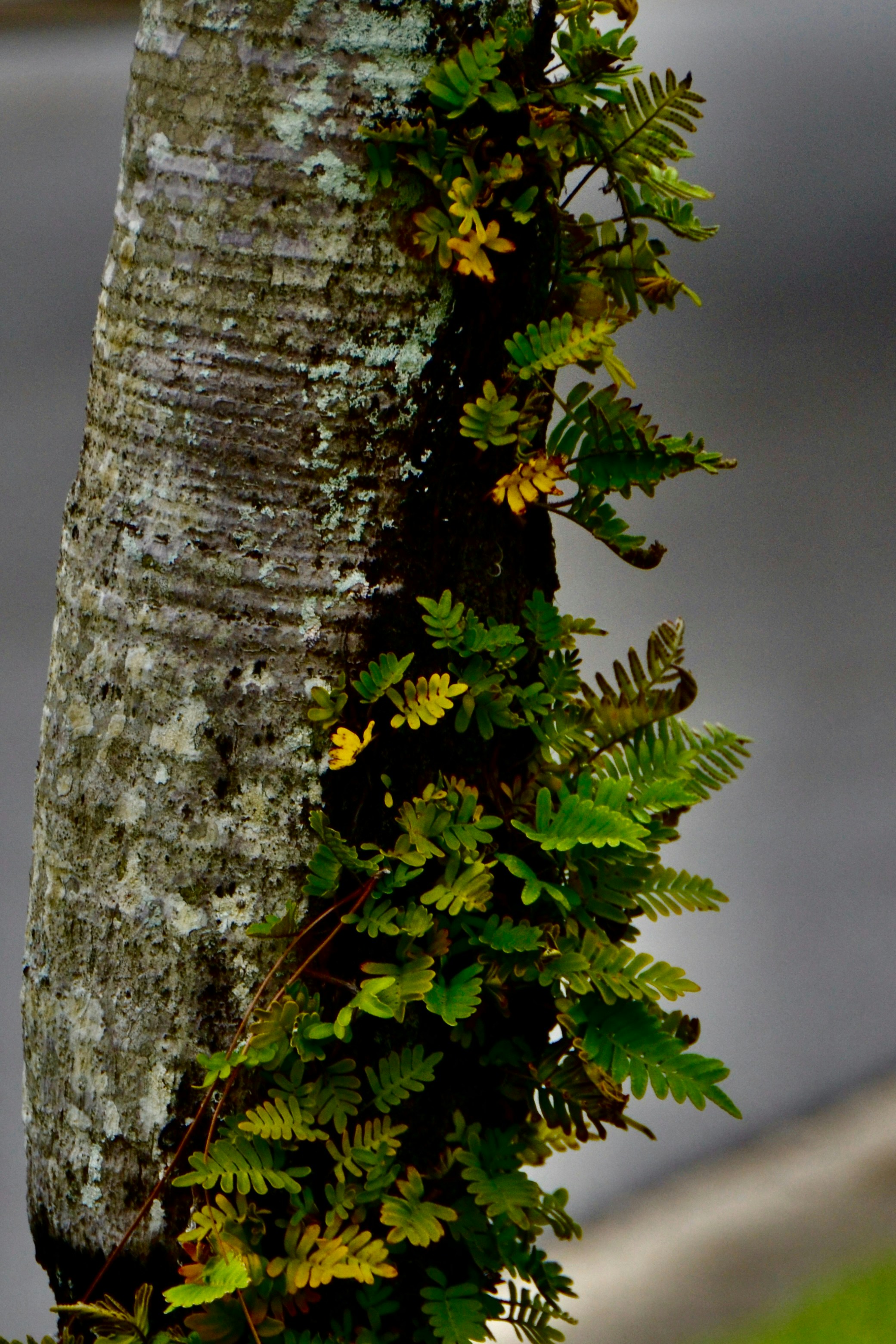 Photo by missylynnarts