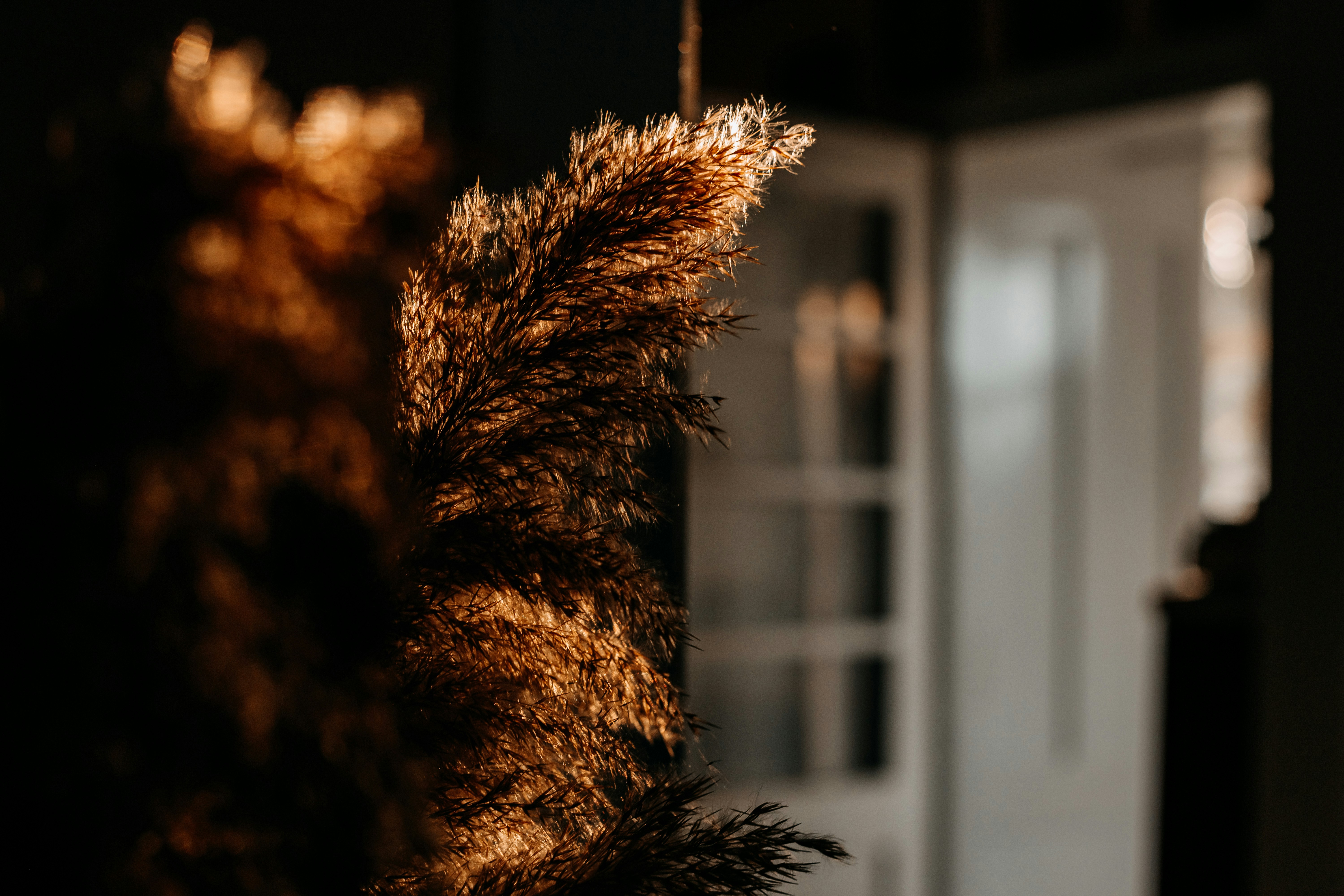 Photo by sylvester_s