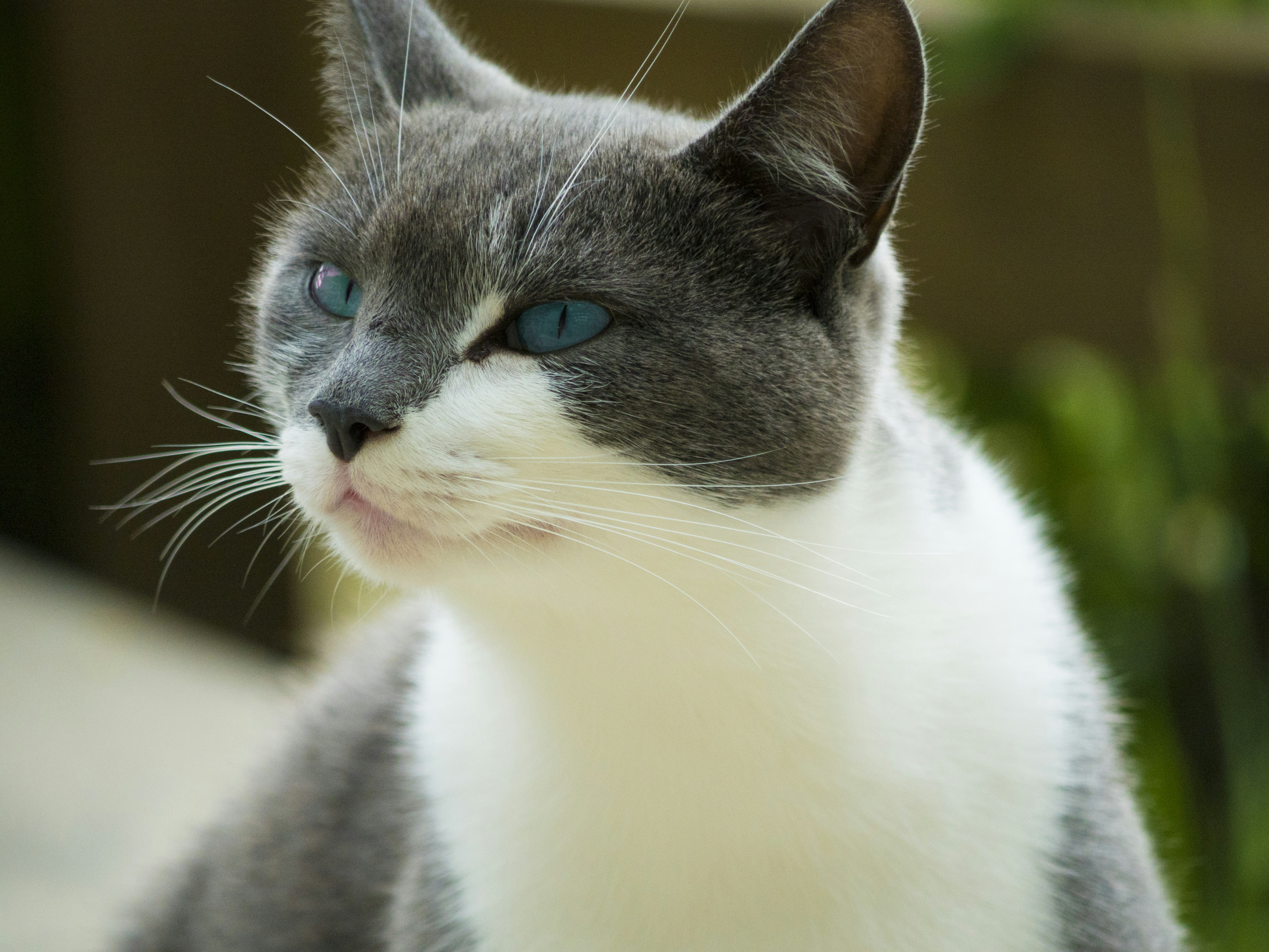 Photo by hhm_creative_studio