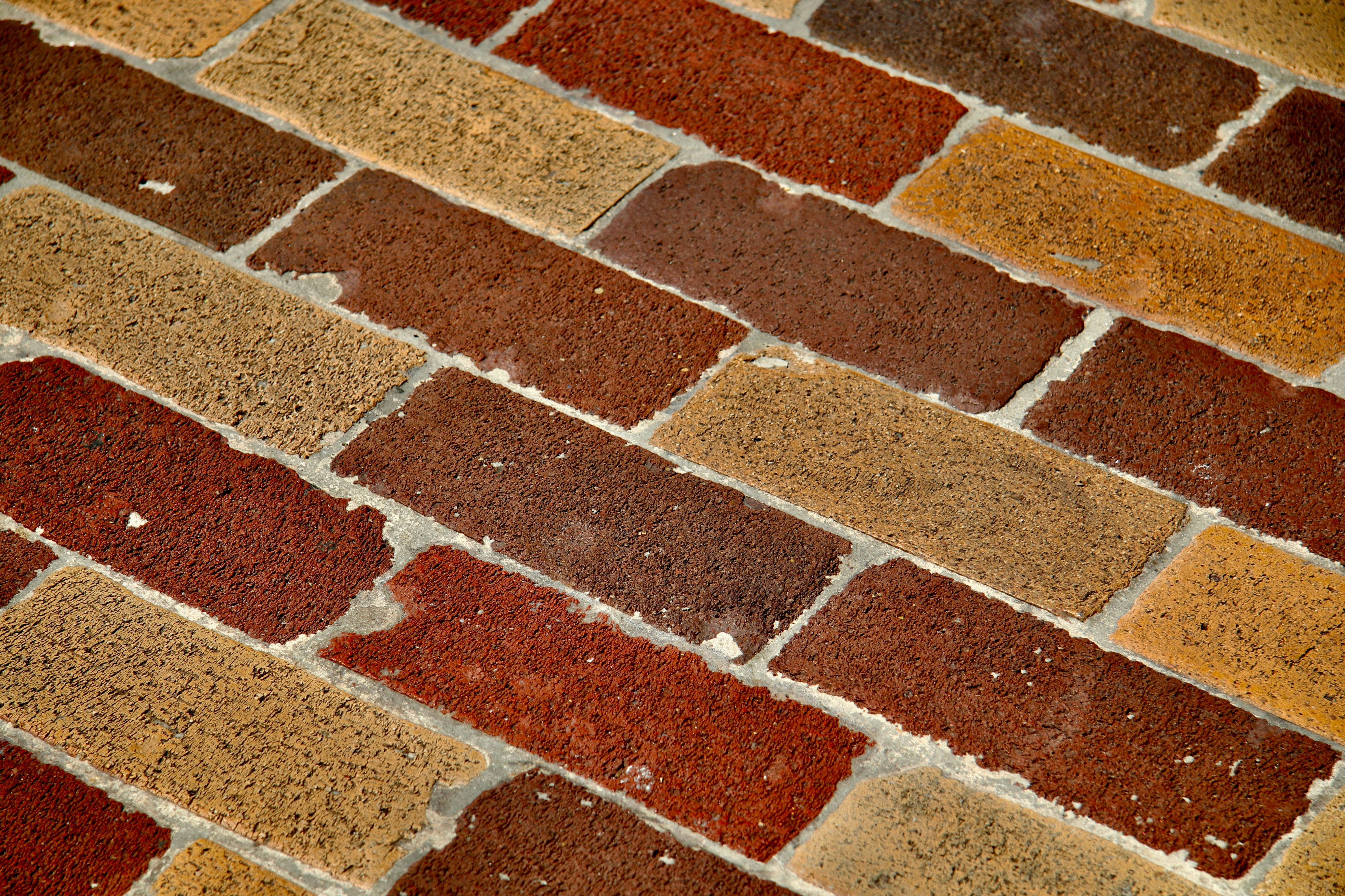 Photo by missylynnarts