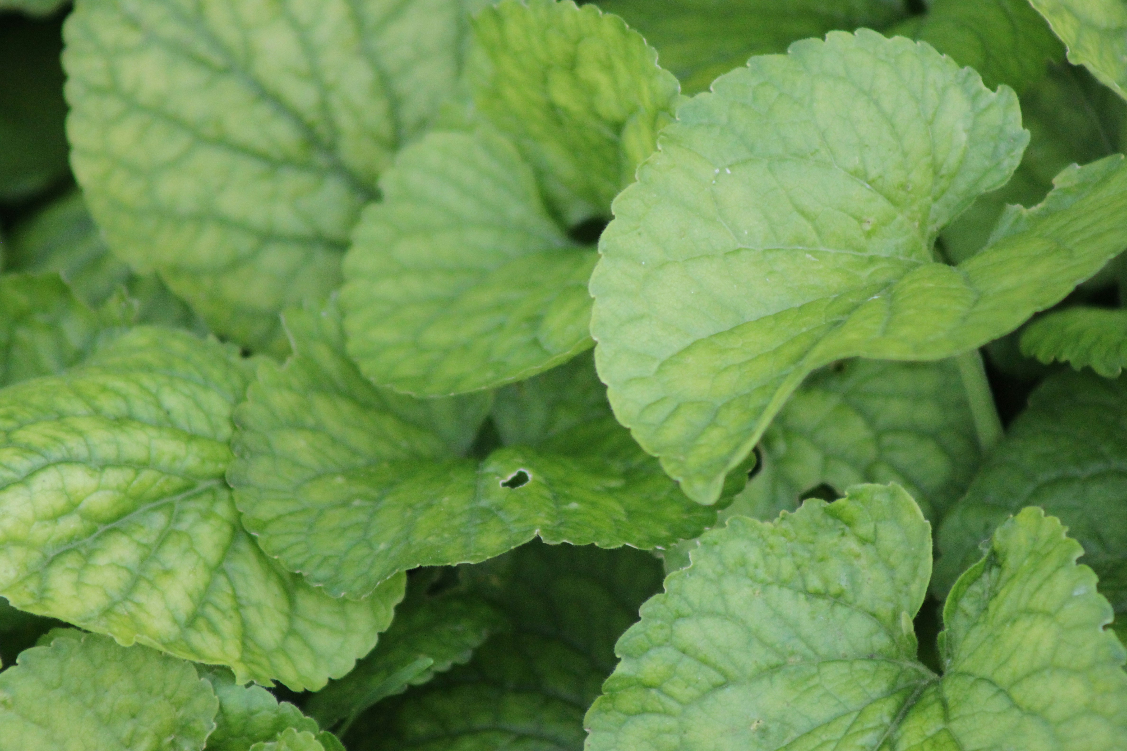 Photo by rubyphotography