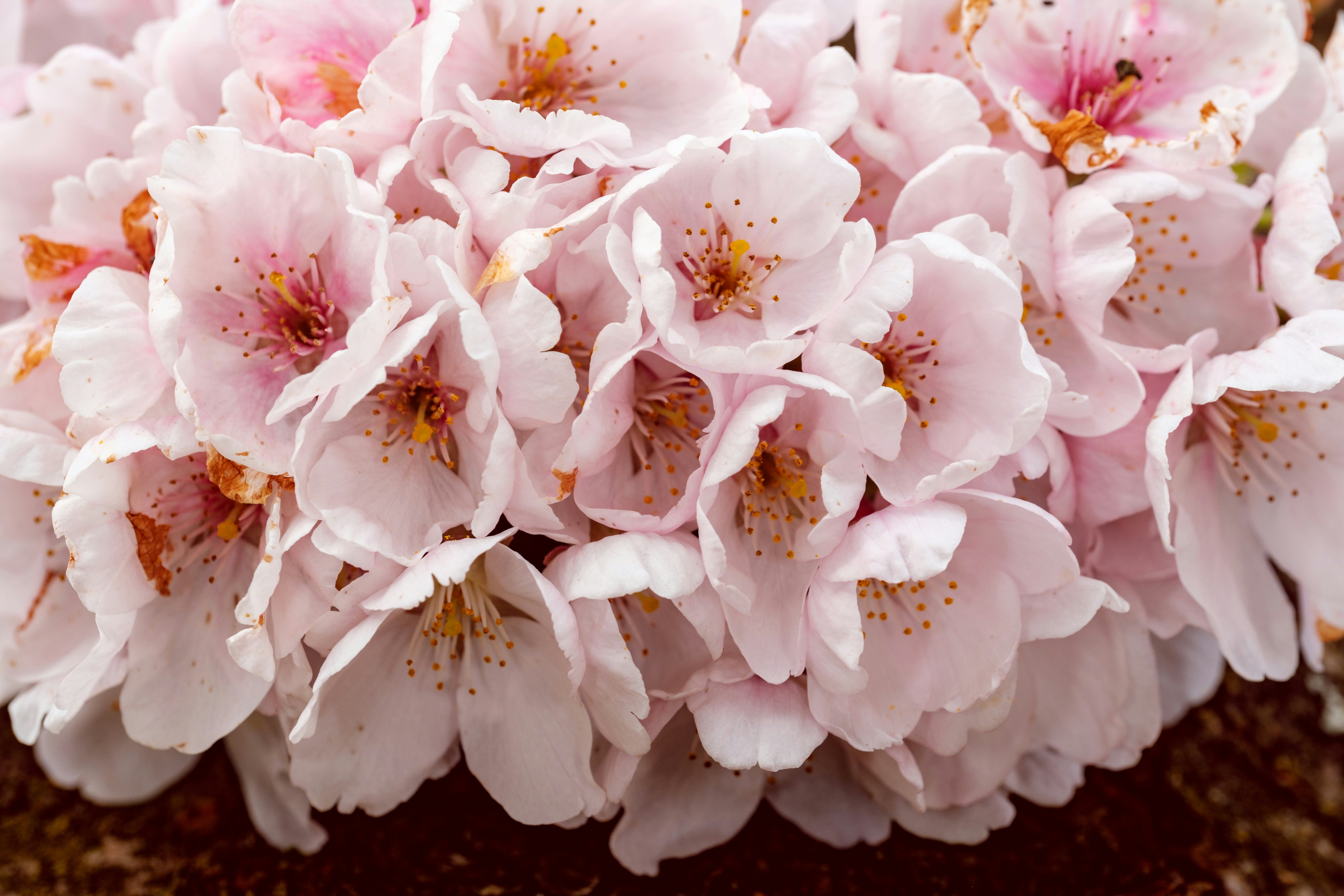 Photo by haberdoedas2