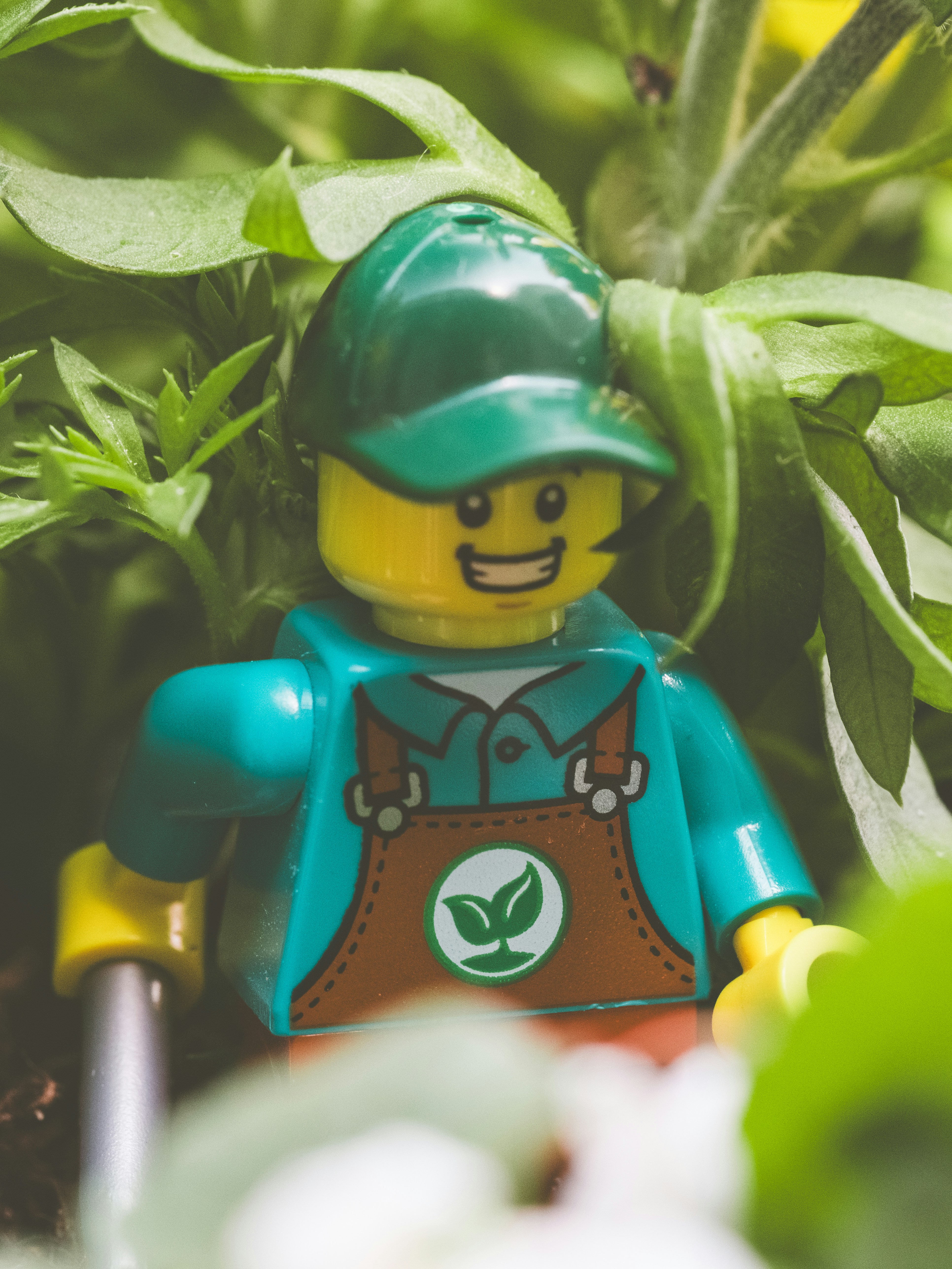 Photo by haberdoedas2