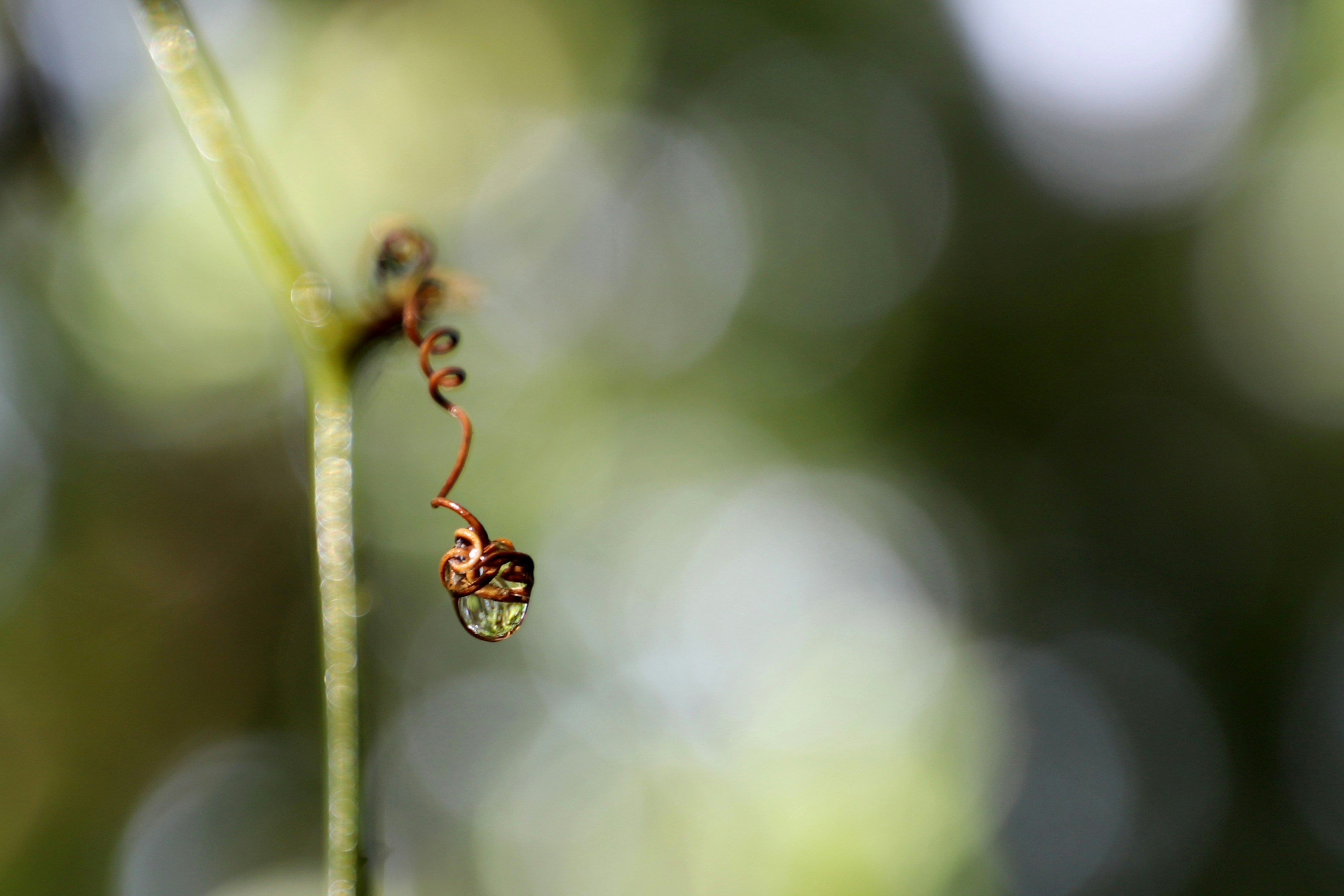 Photo by small_robert