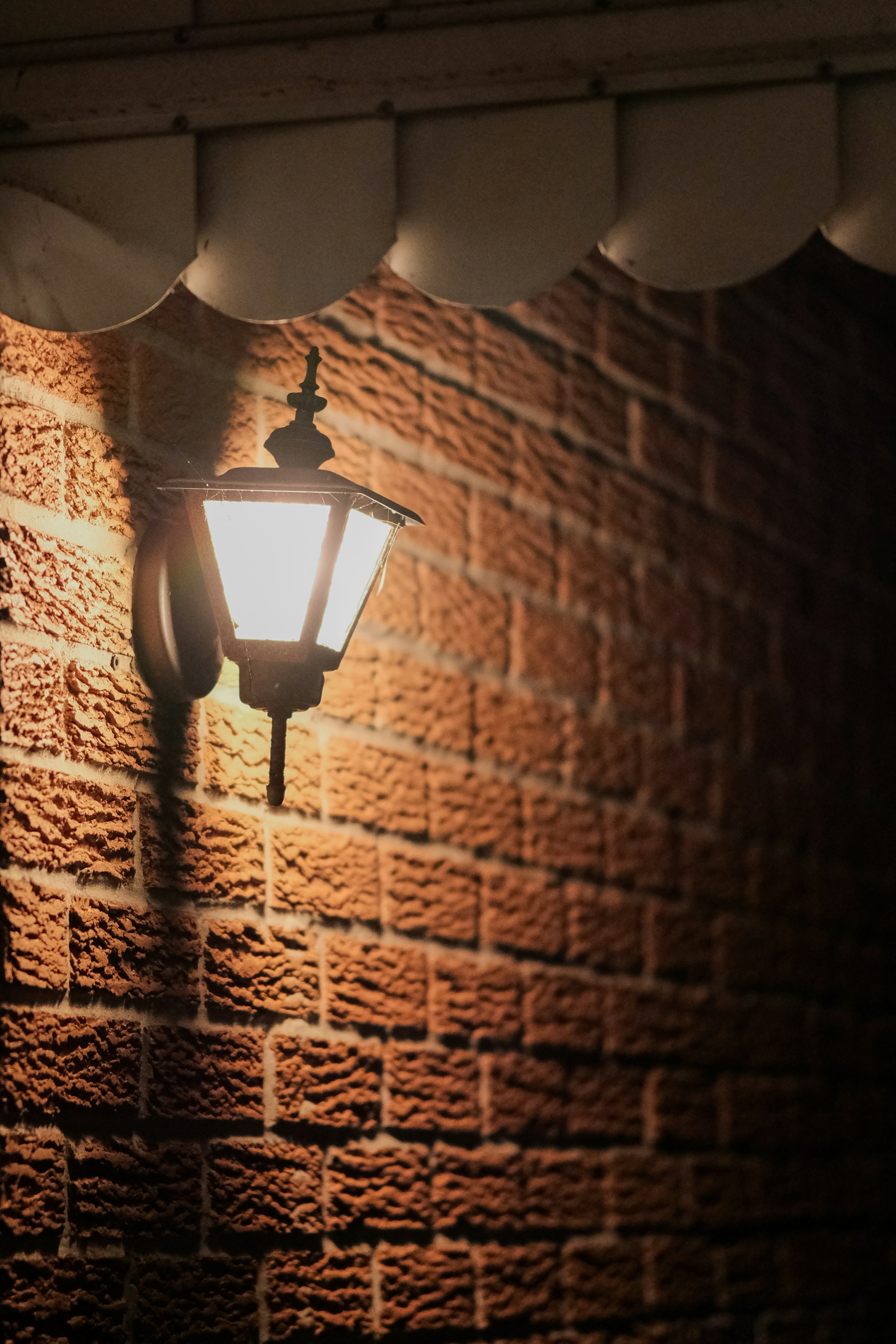 Photo by singhramneek54