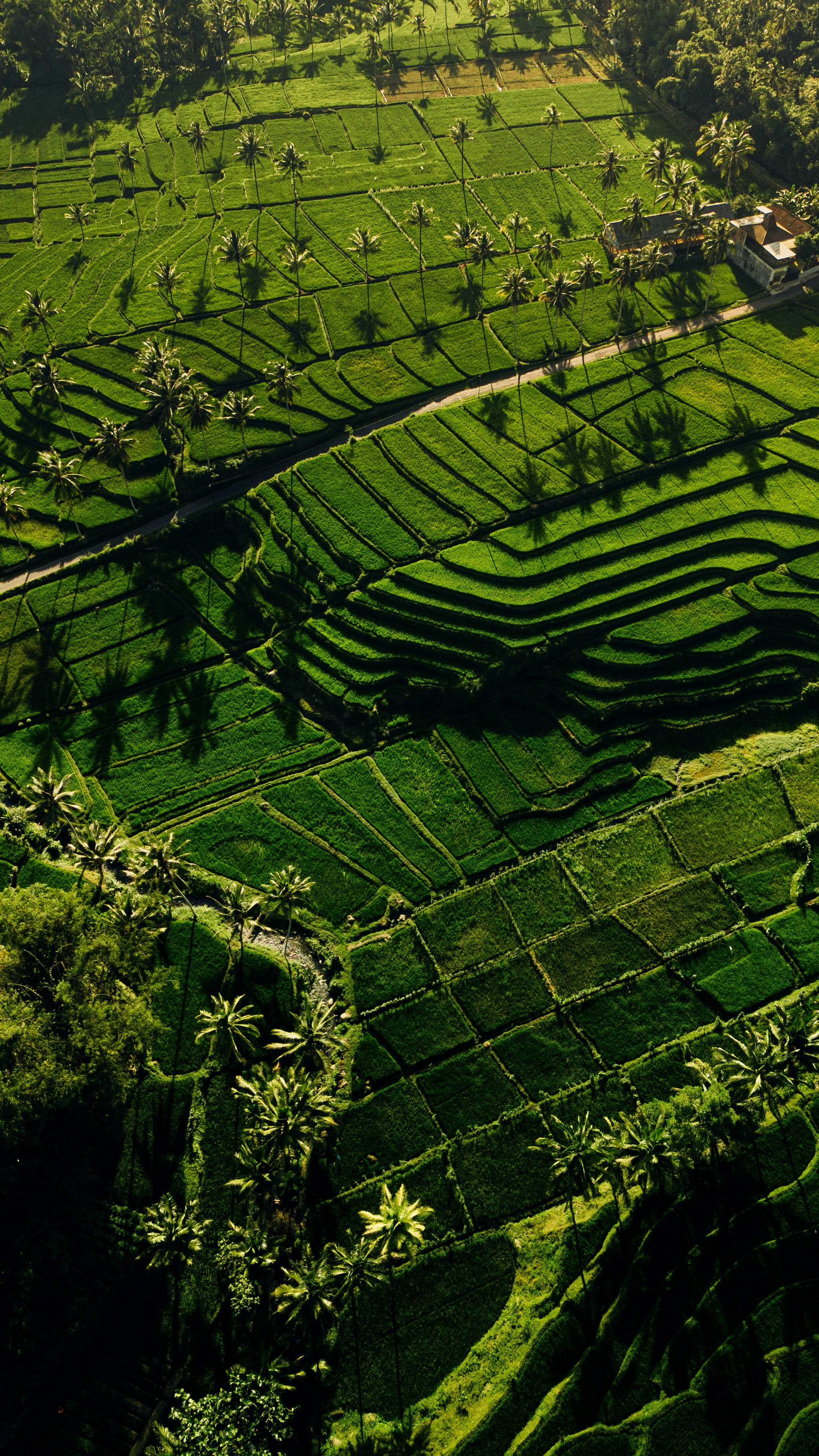 Photo by azzamaulana