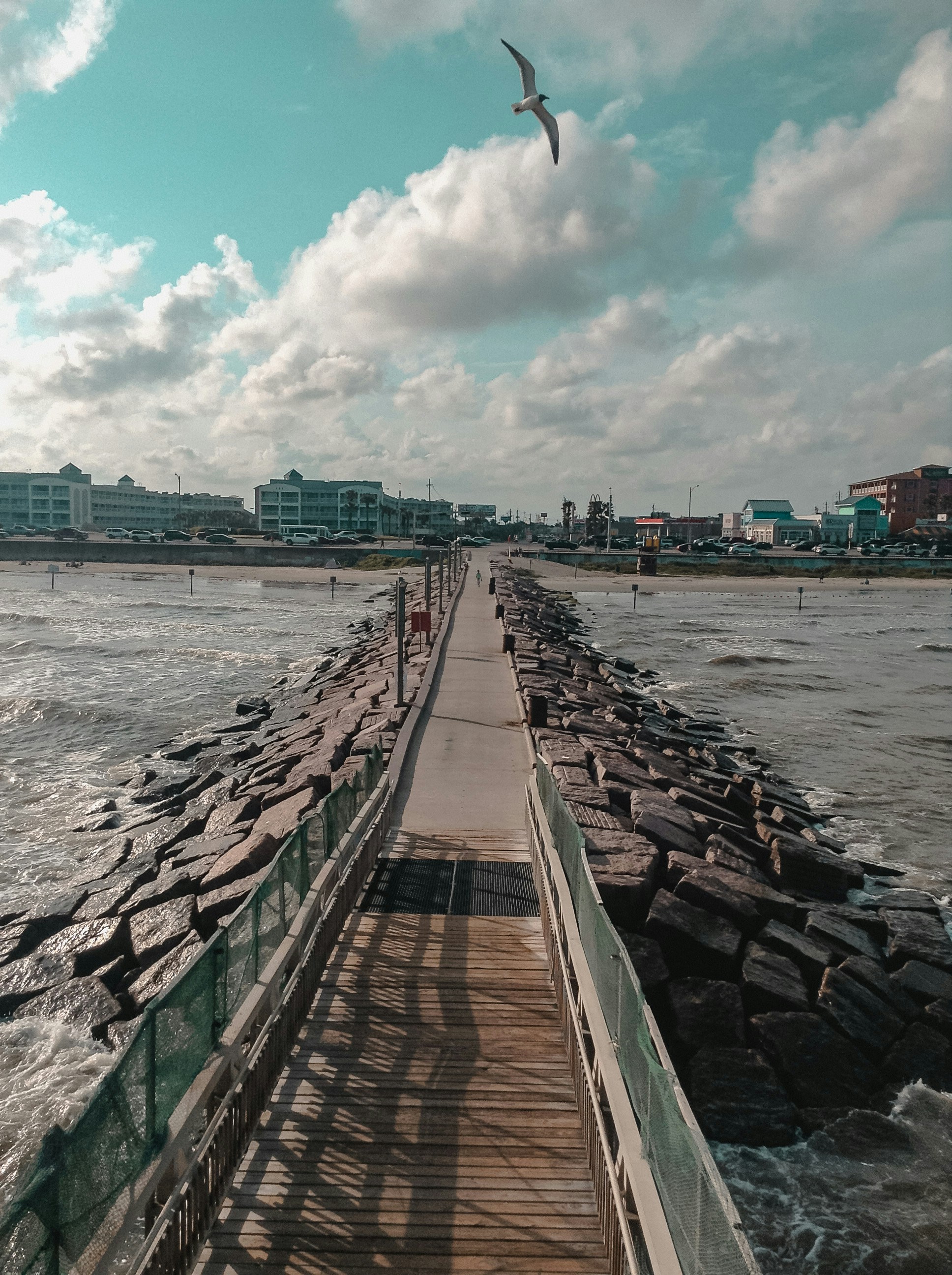 a bird flying over a pier next to the ocean