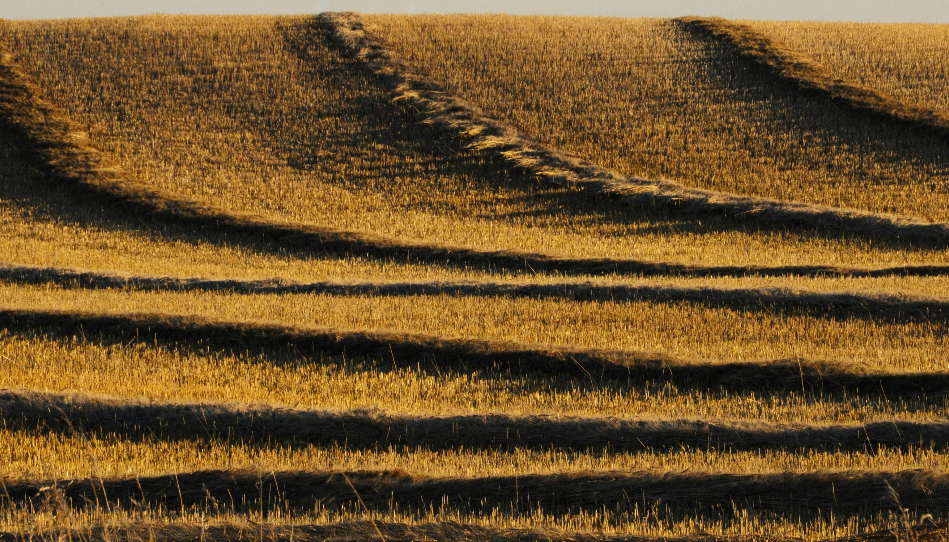 Breaking the Liturgies of Self