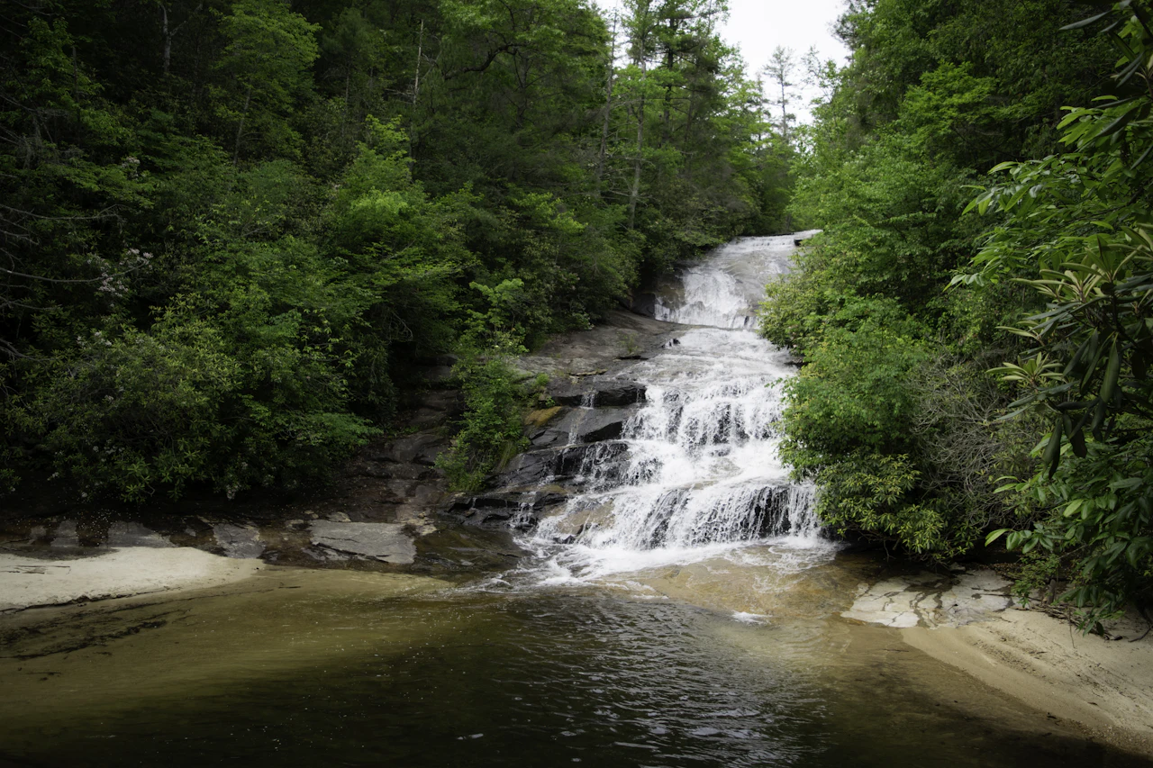 Waterfall spilling into a forest pool