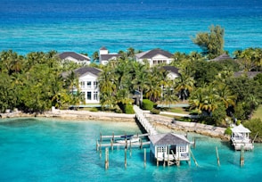 an aerial view of a tropical island with a dock