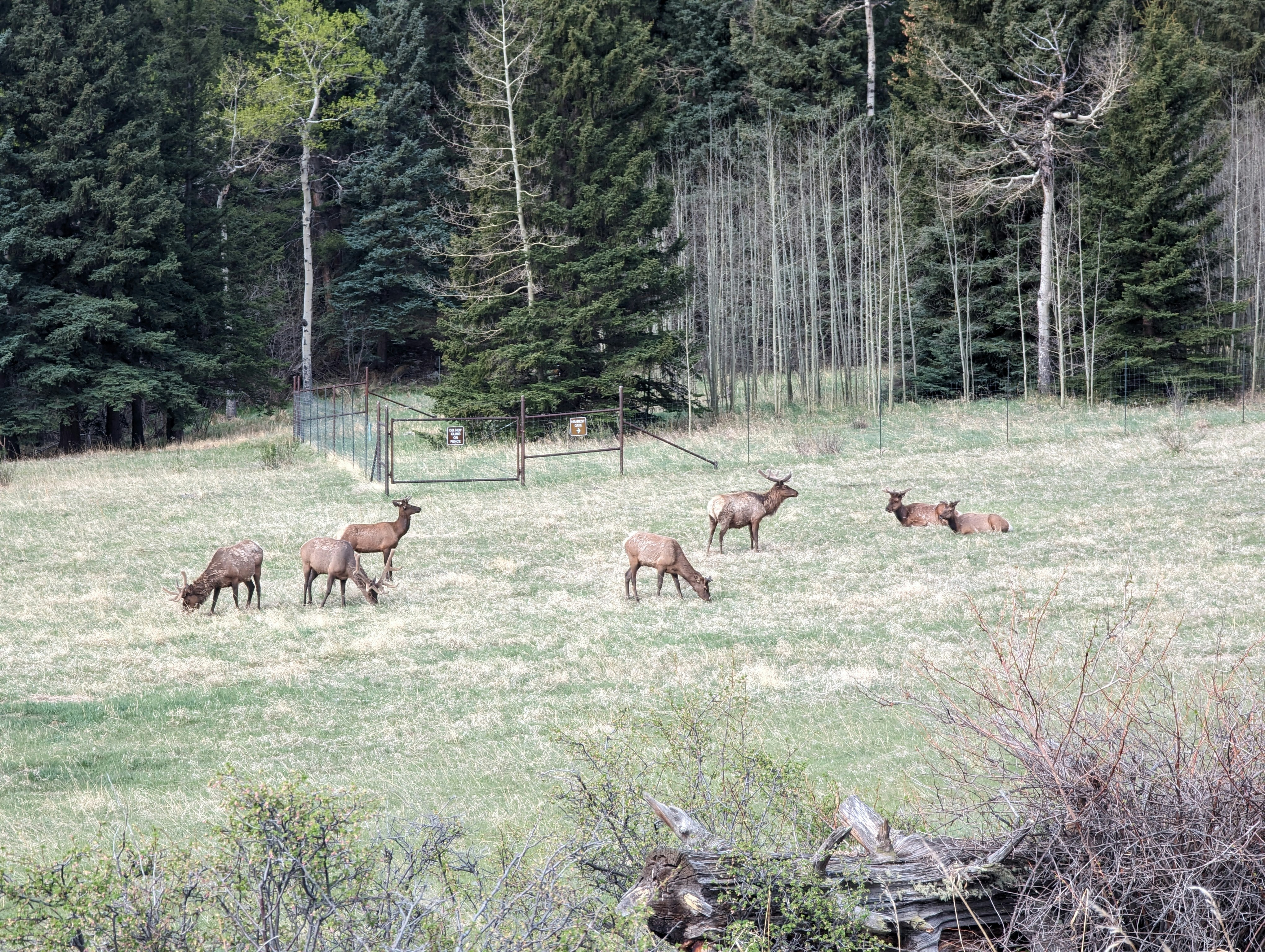 Photo by jonathanbglass