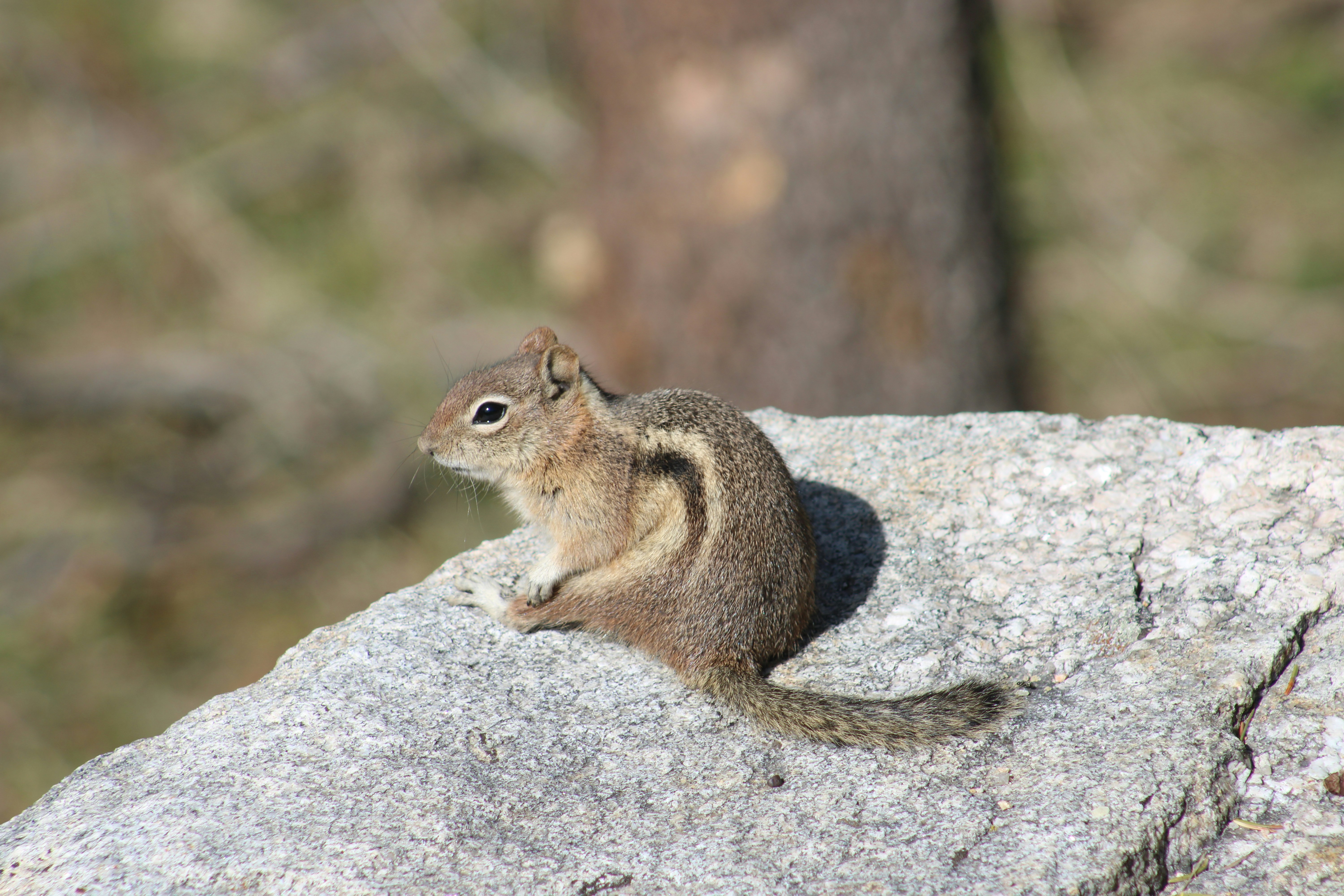 Photo by jonathanbglass