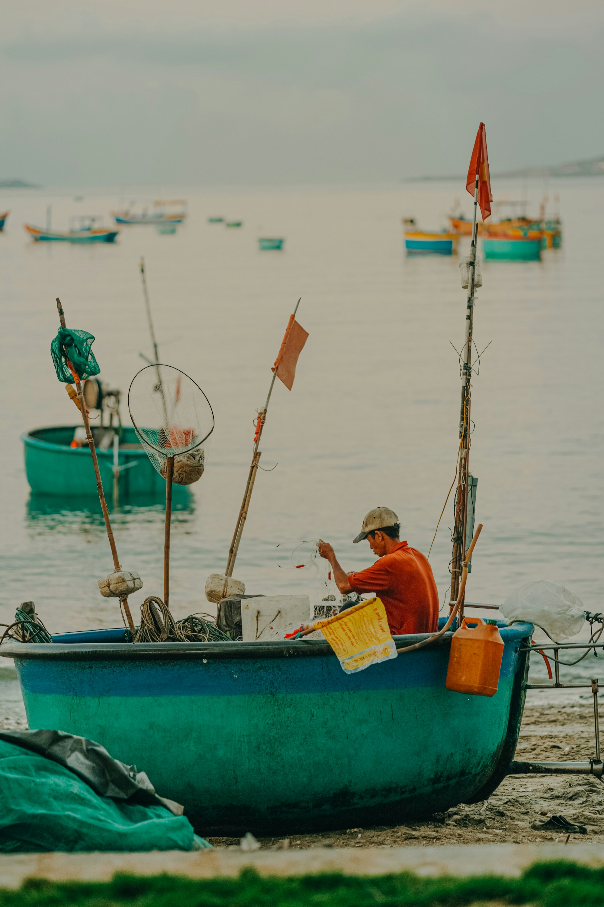 Photo by nguyentrungnguyen