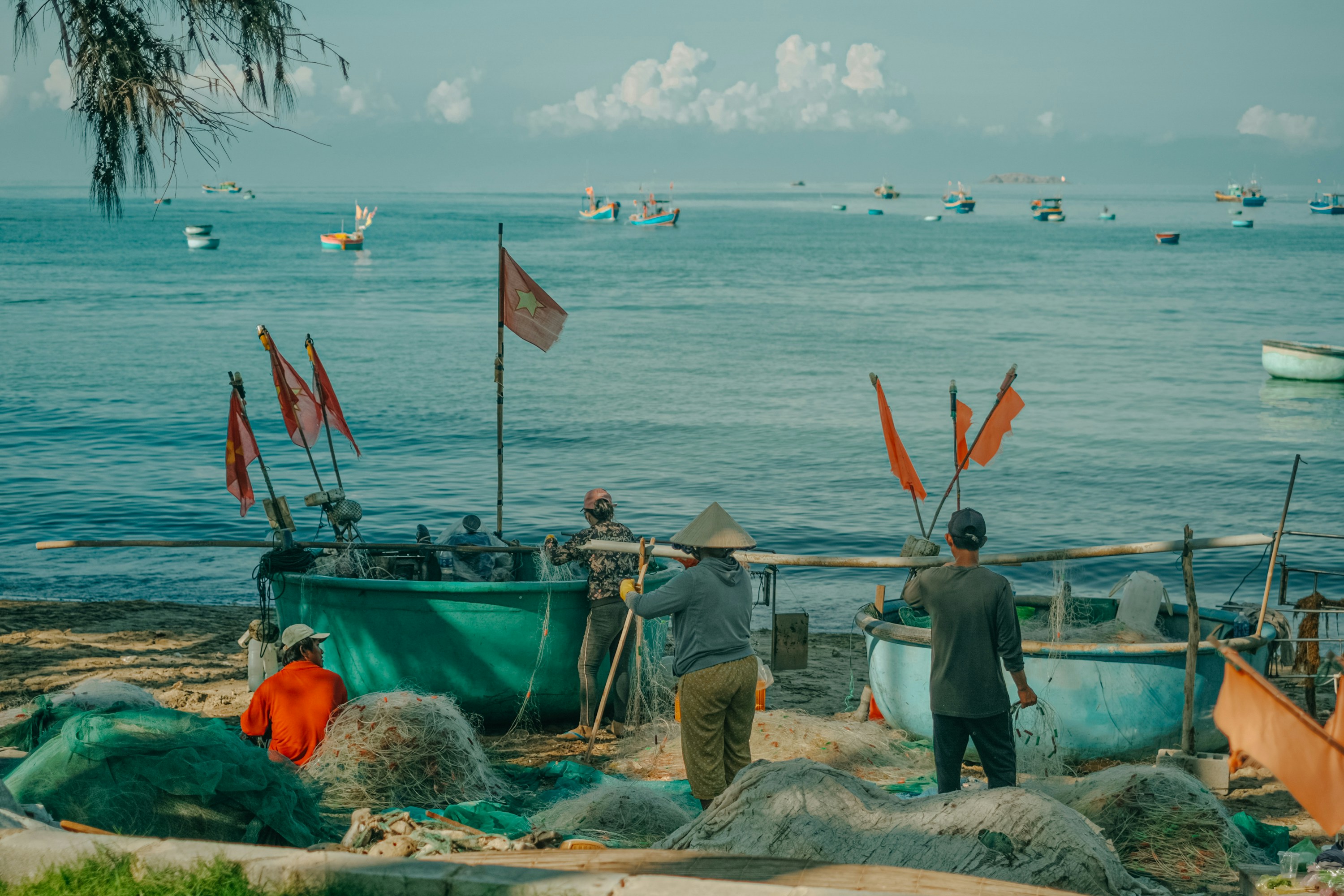 Photo by nguyentrungnguyen