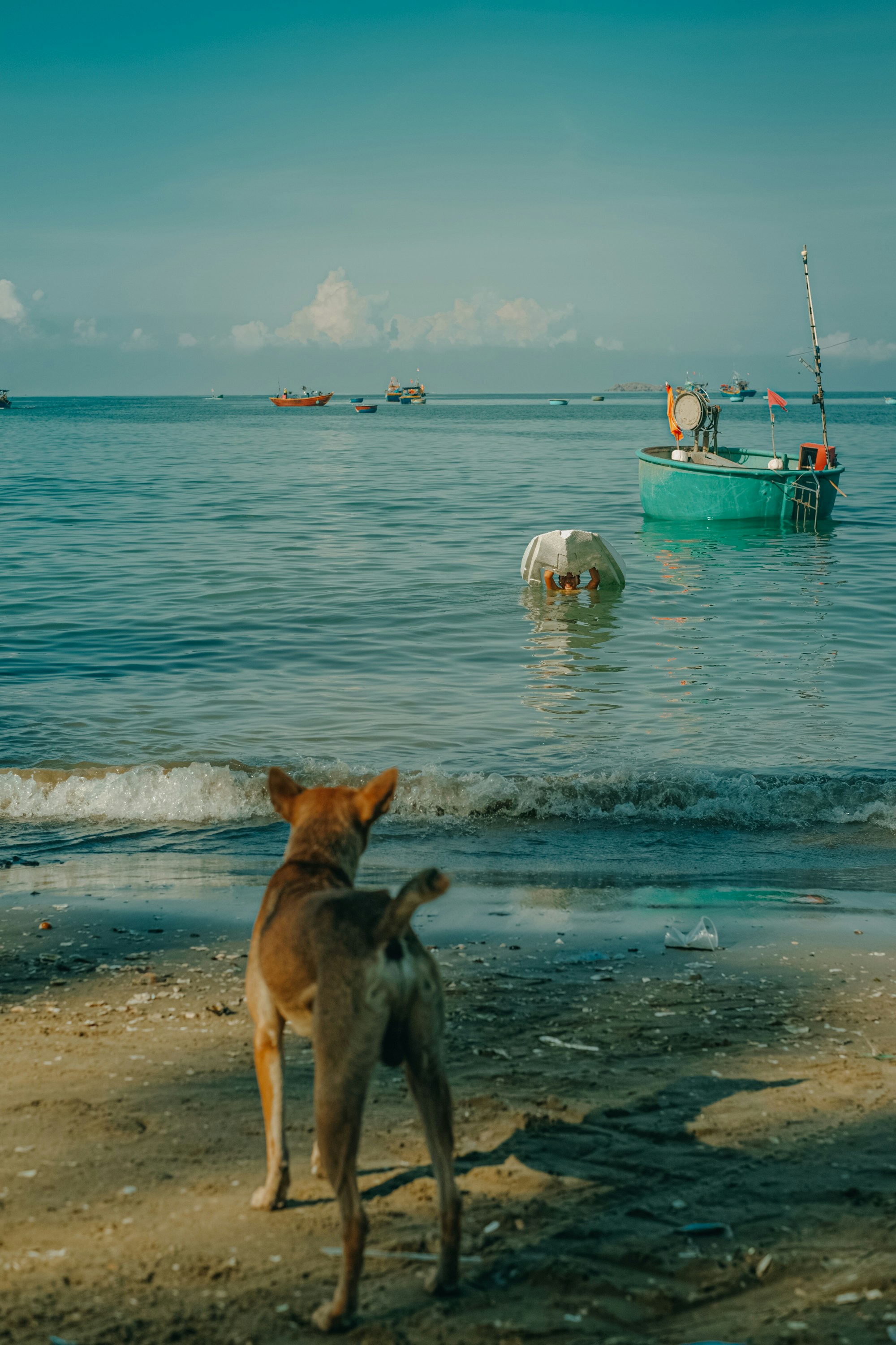 Photo by nguyentrungnguyen