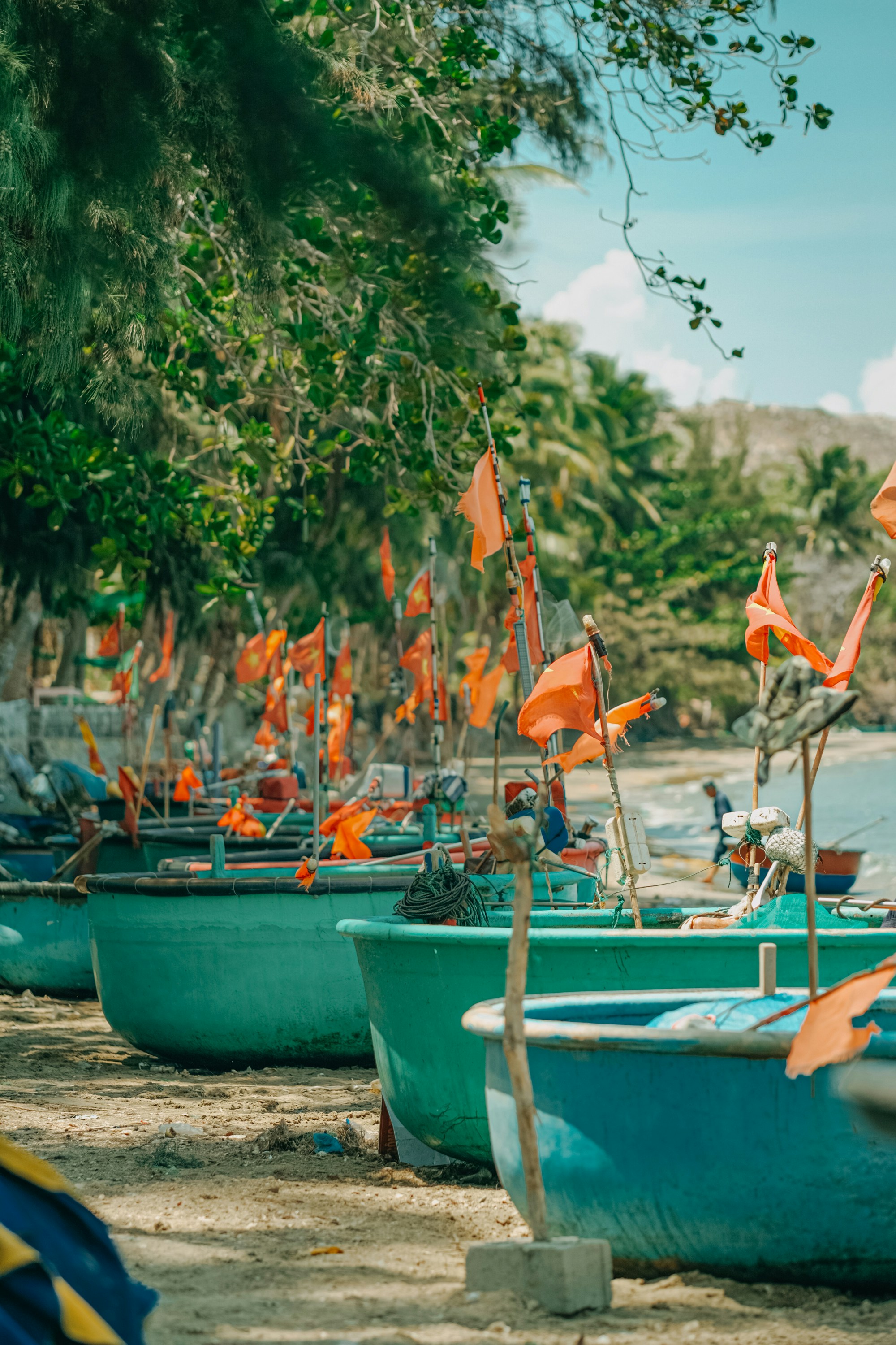 Photo by nguyentrungnguyen